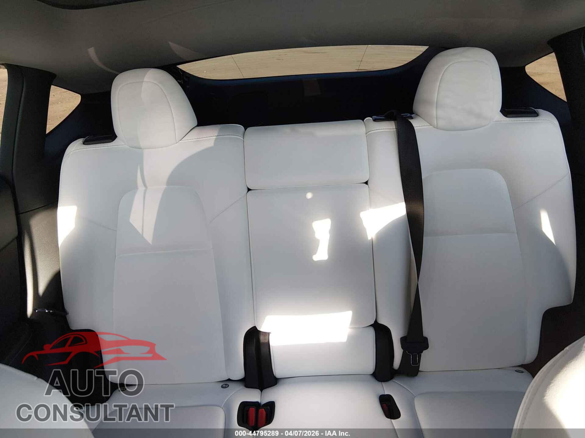 TESLA MODEL Y 2024 - 7SAYGAEE7RF112644