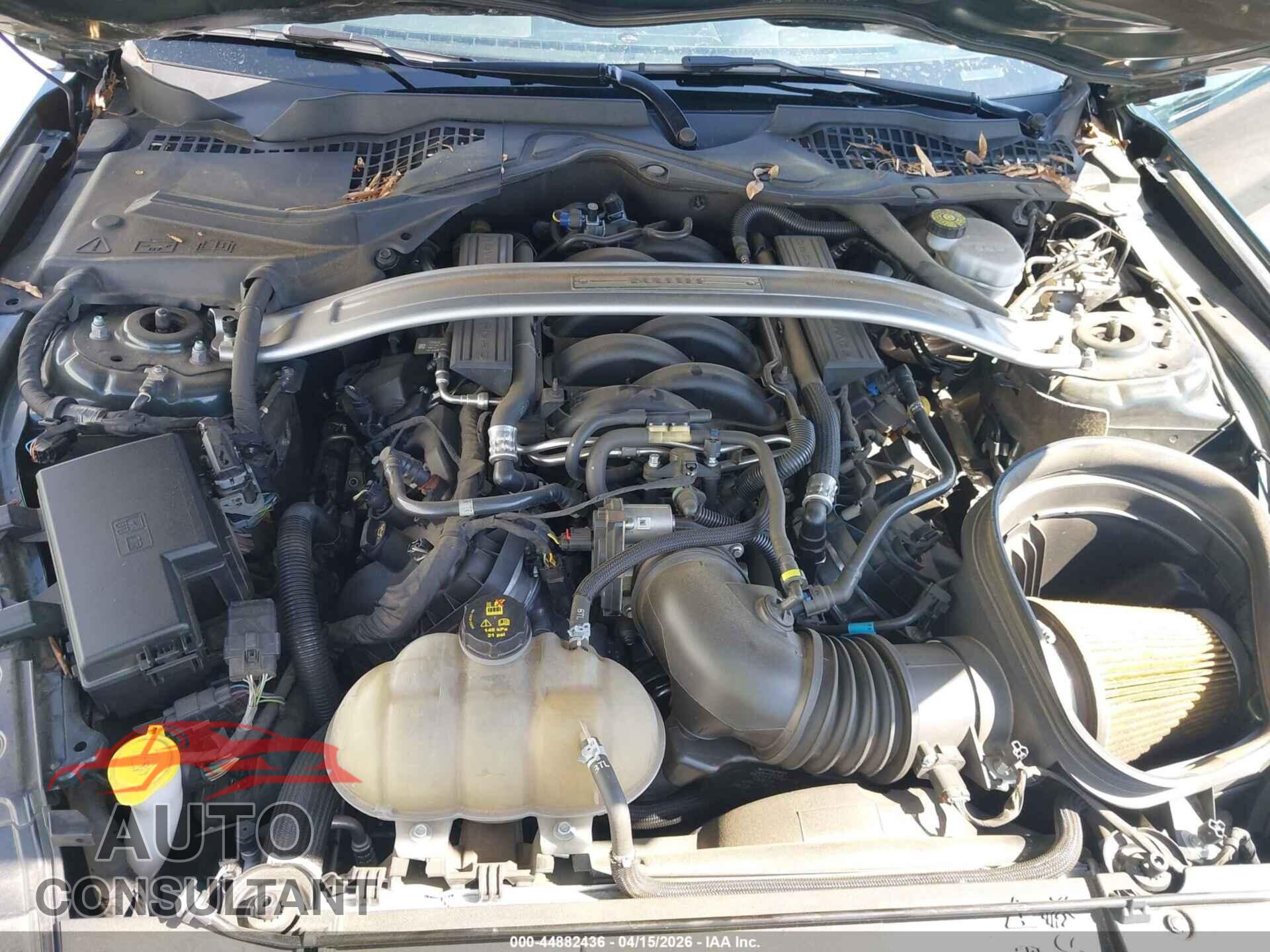 FORD MUSTANG 2019 - 1FA6P8K08K5502350