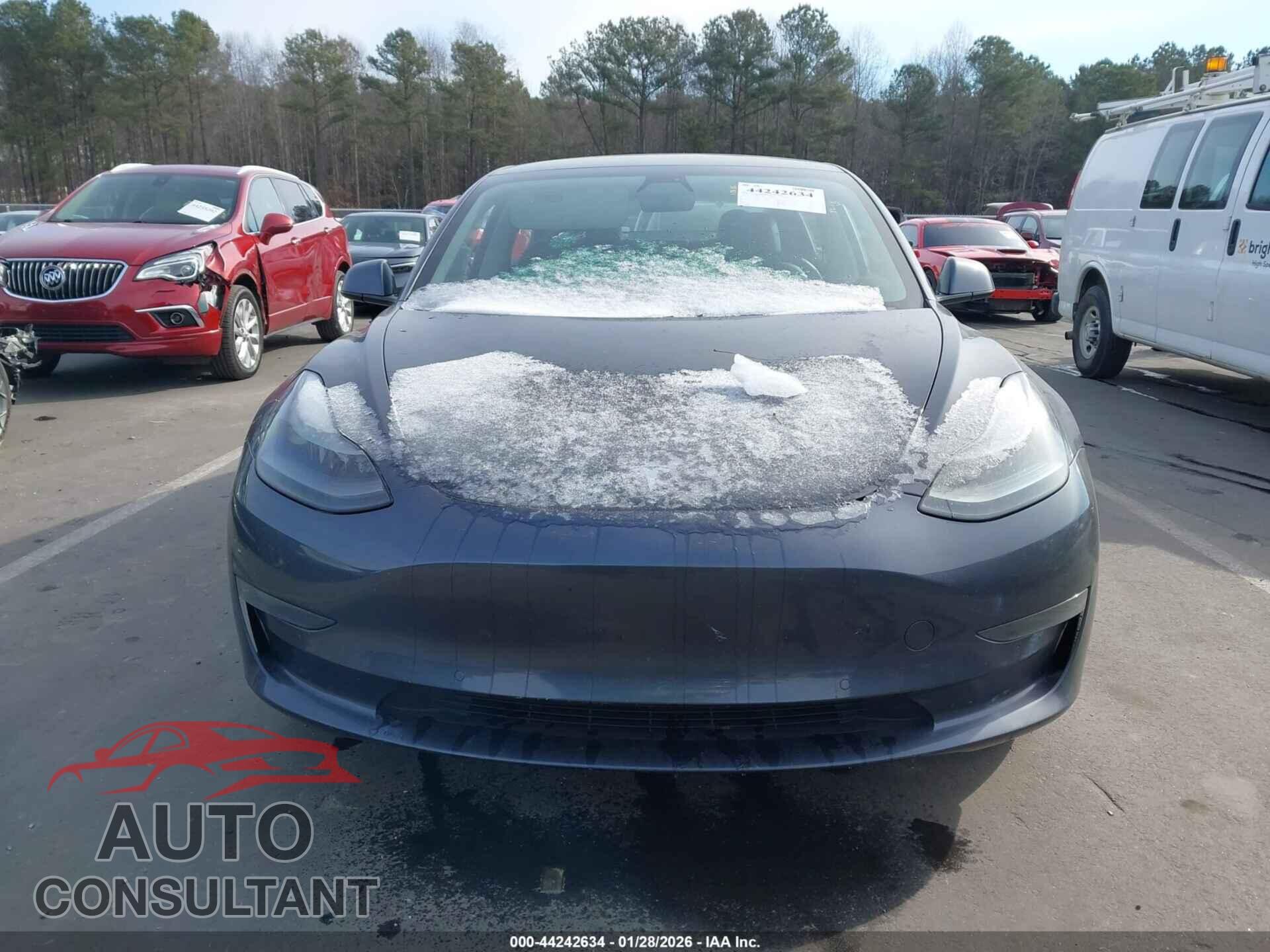 TESLA MODEL 3 2021 - 5YJ3E1EA0MF031858