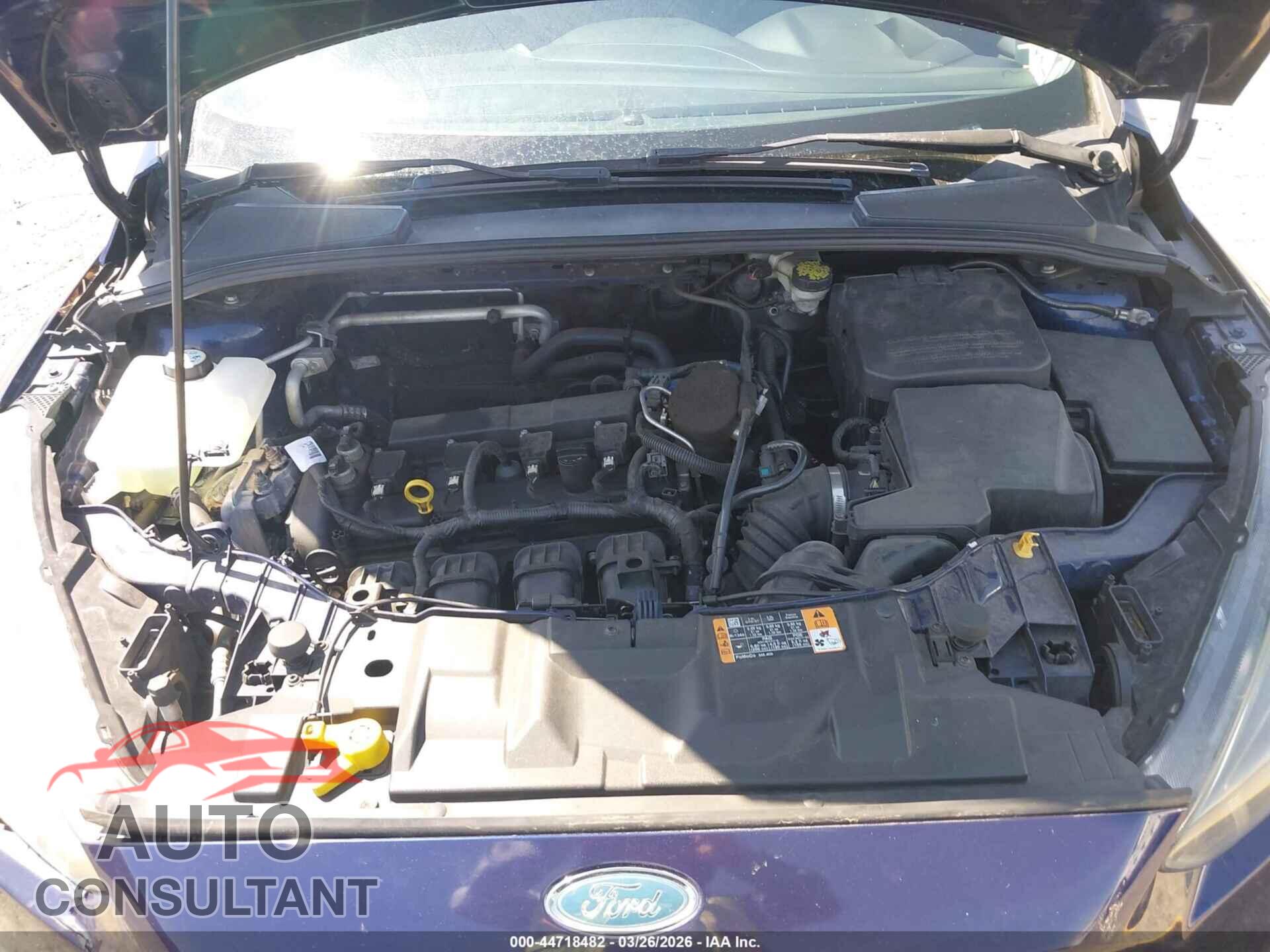 FORD FOCUS 2016 - 1FADP3F29GL258832