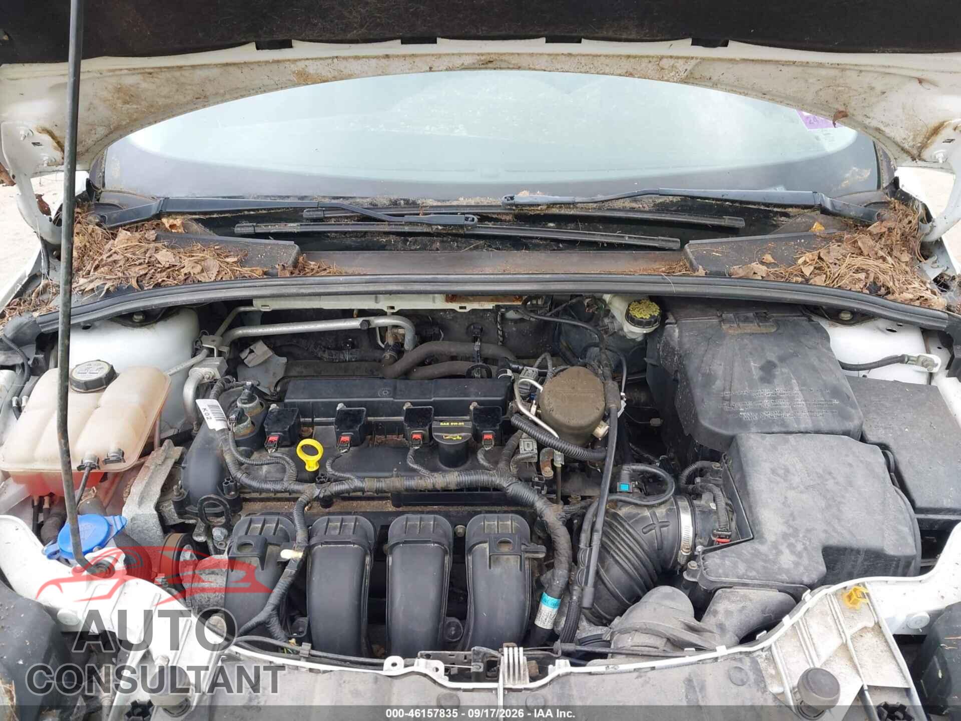 FORD FOCUS 2013 - 1FADP3K29DL224343