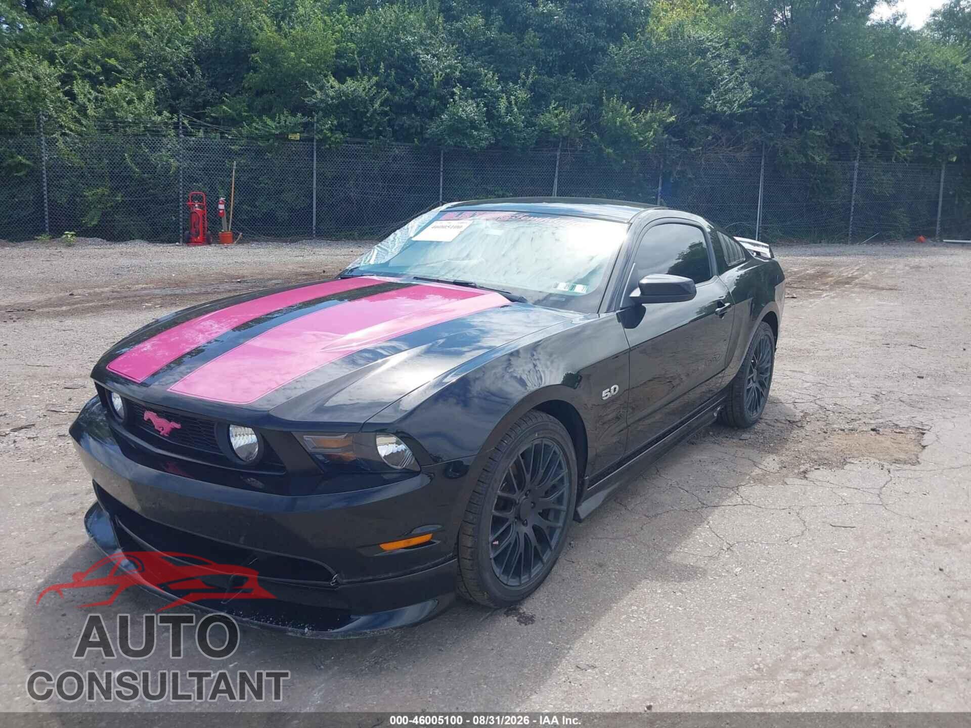 FORD MUSTANG 2011 - 1ZVBP8CF5B5109995
