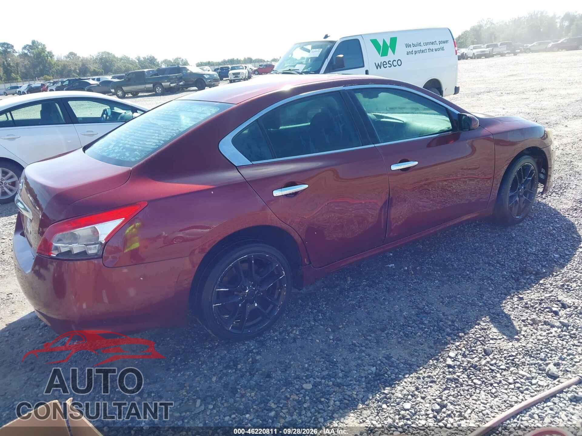 NISSAN MAXIMA 2009 - 1N4AA51E69C838964