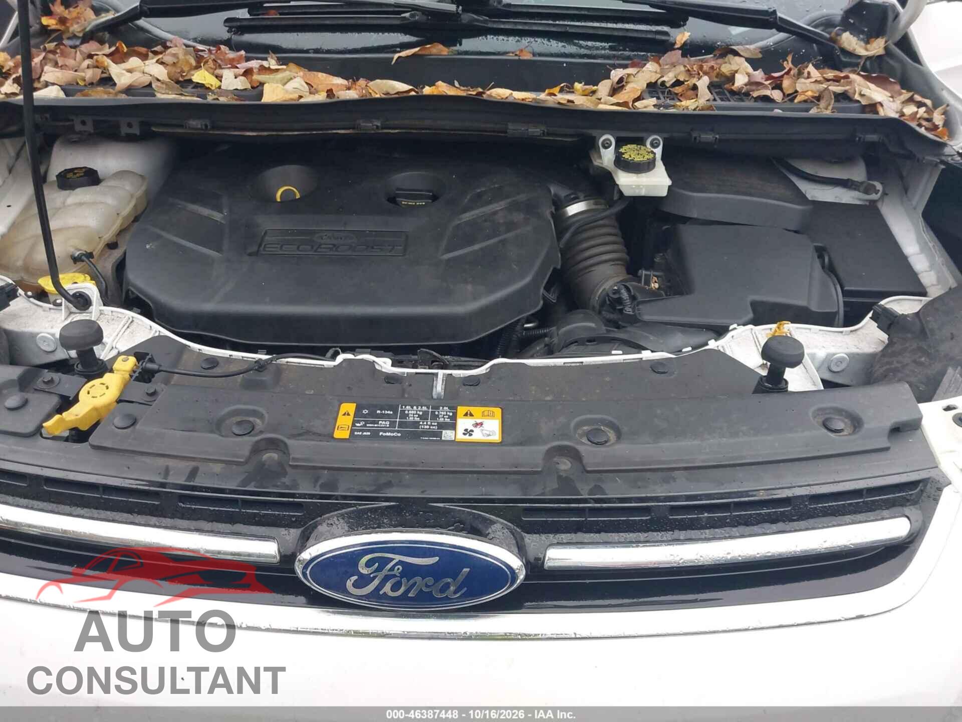 FORD ESCAPE 2014 - 1FMCU0J98EUA34309