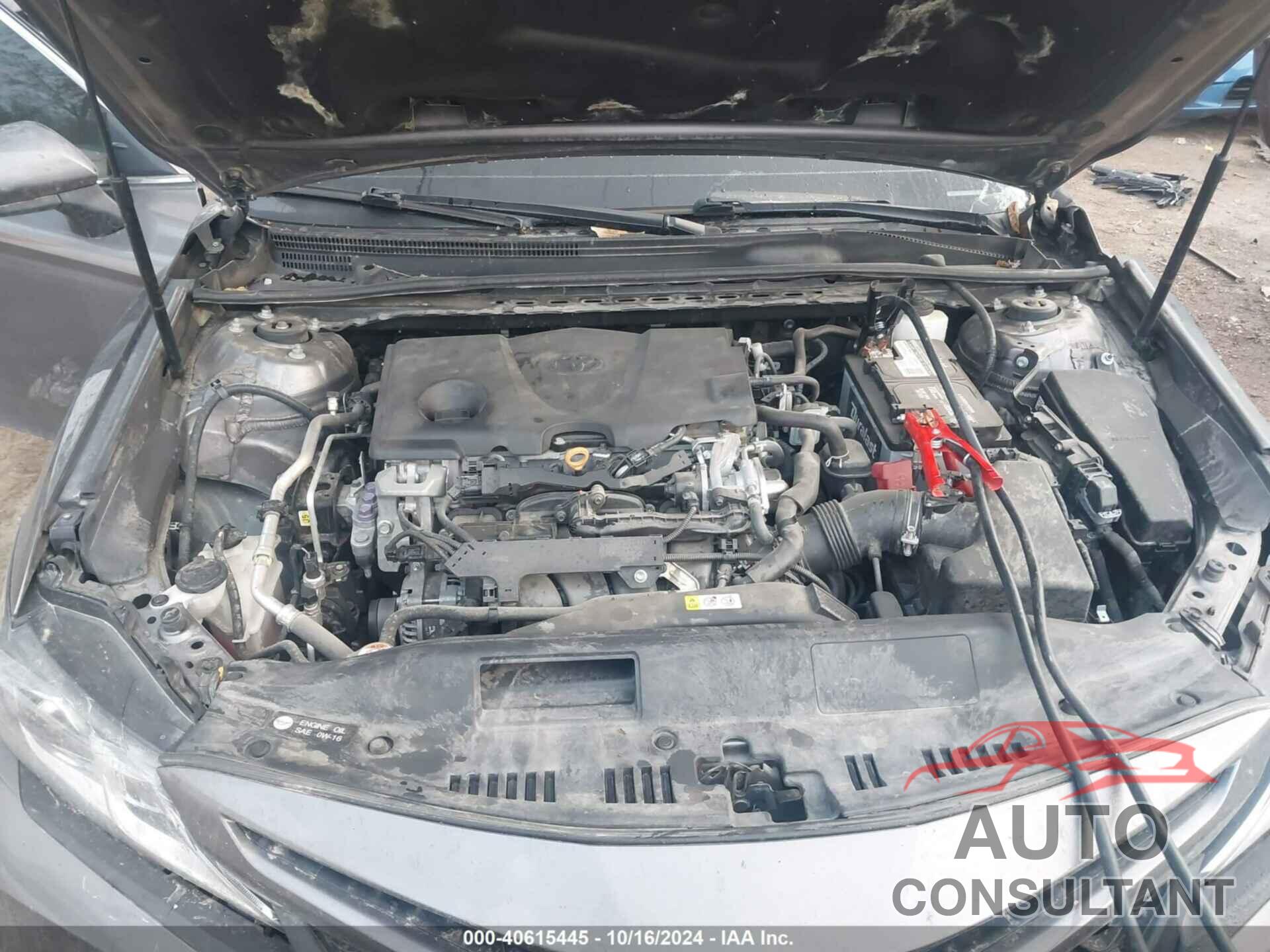 TOYOTA CAMRY 2019 - 4T1B11HK3KU206860