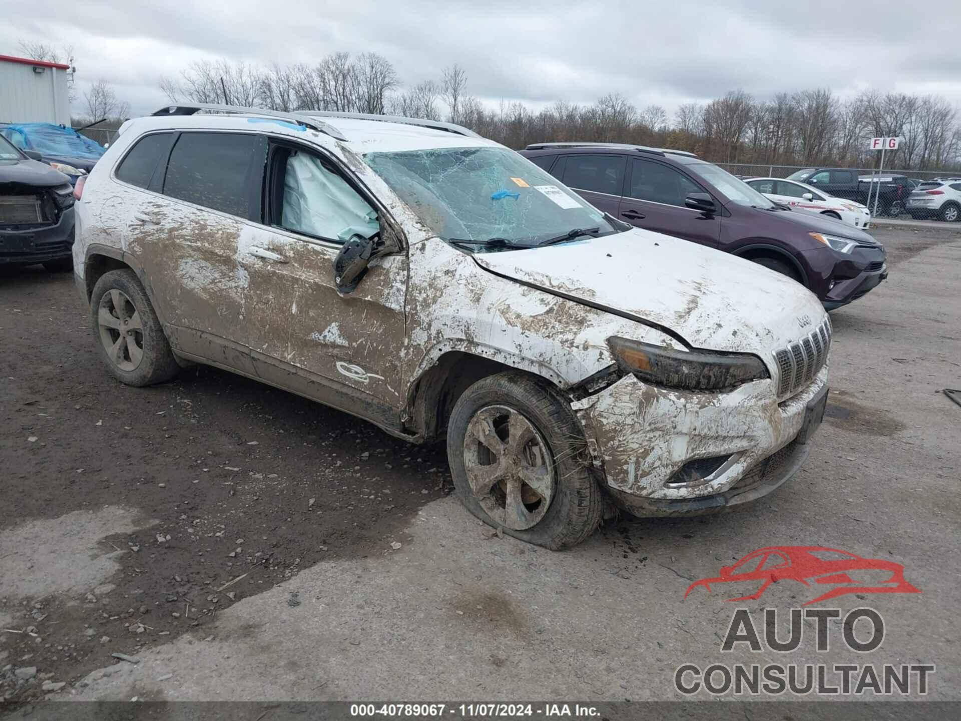 JEEP CHEROKEE 2019 - 1C4PJMDX6KD113960