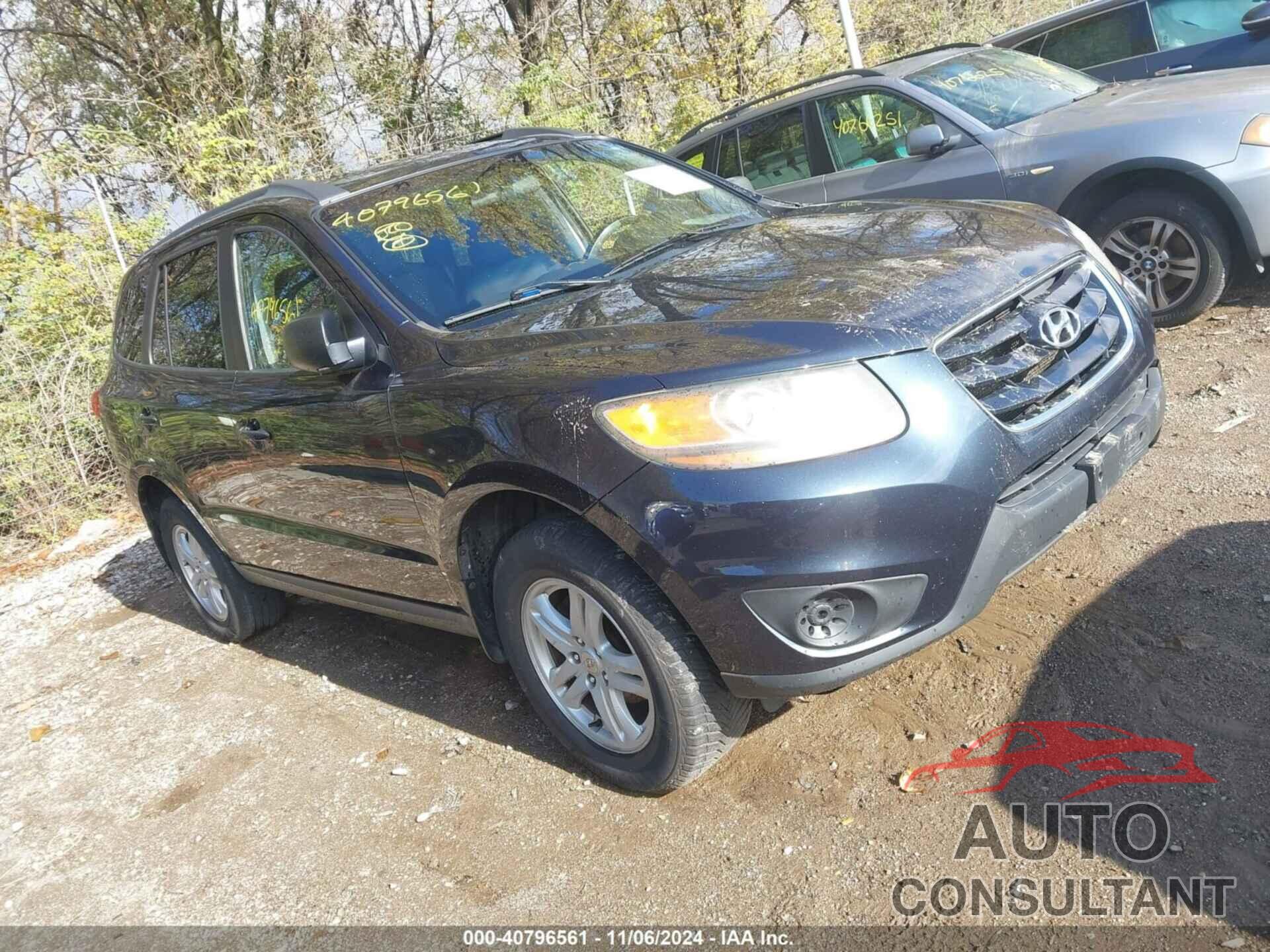 HYUNDAI SANTA FE 2010 - 5NMSGDAB0AH403022