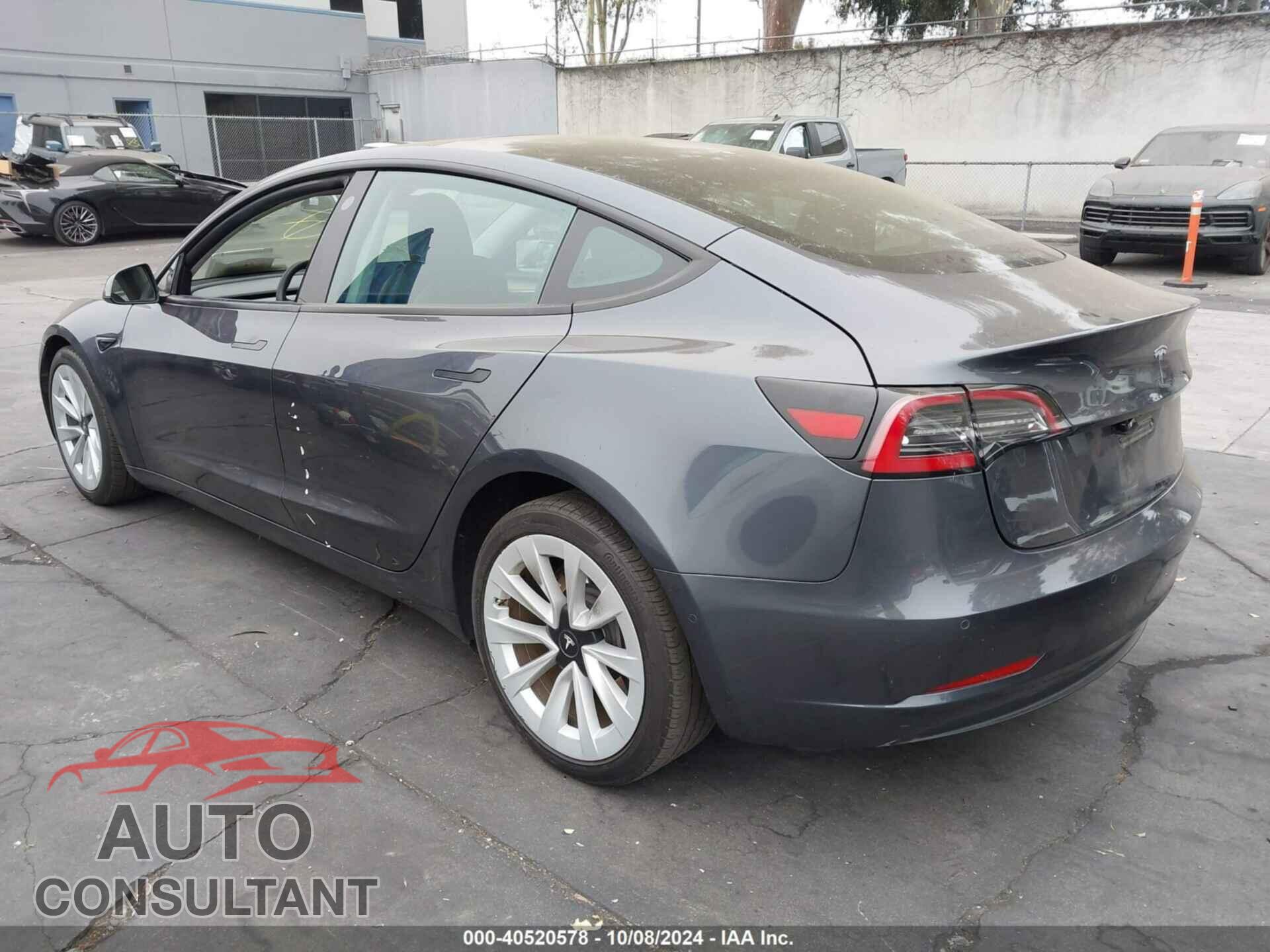 TESLA MODEL 3 2021 - 5YJ3E1EA1MF067784