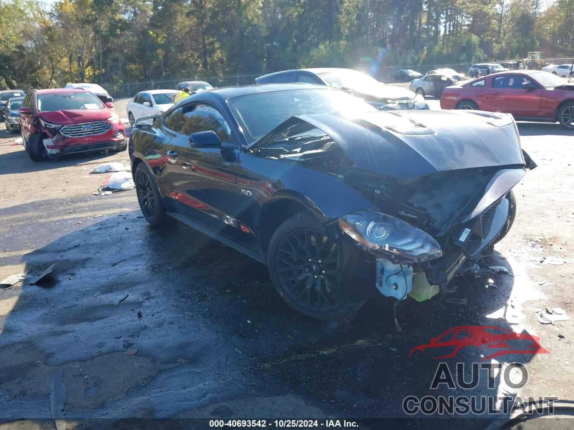 FORD MUSTANG 2021 - 1FA6P8CF6M5129816