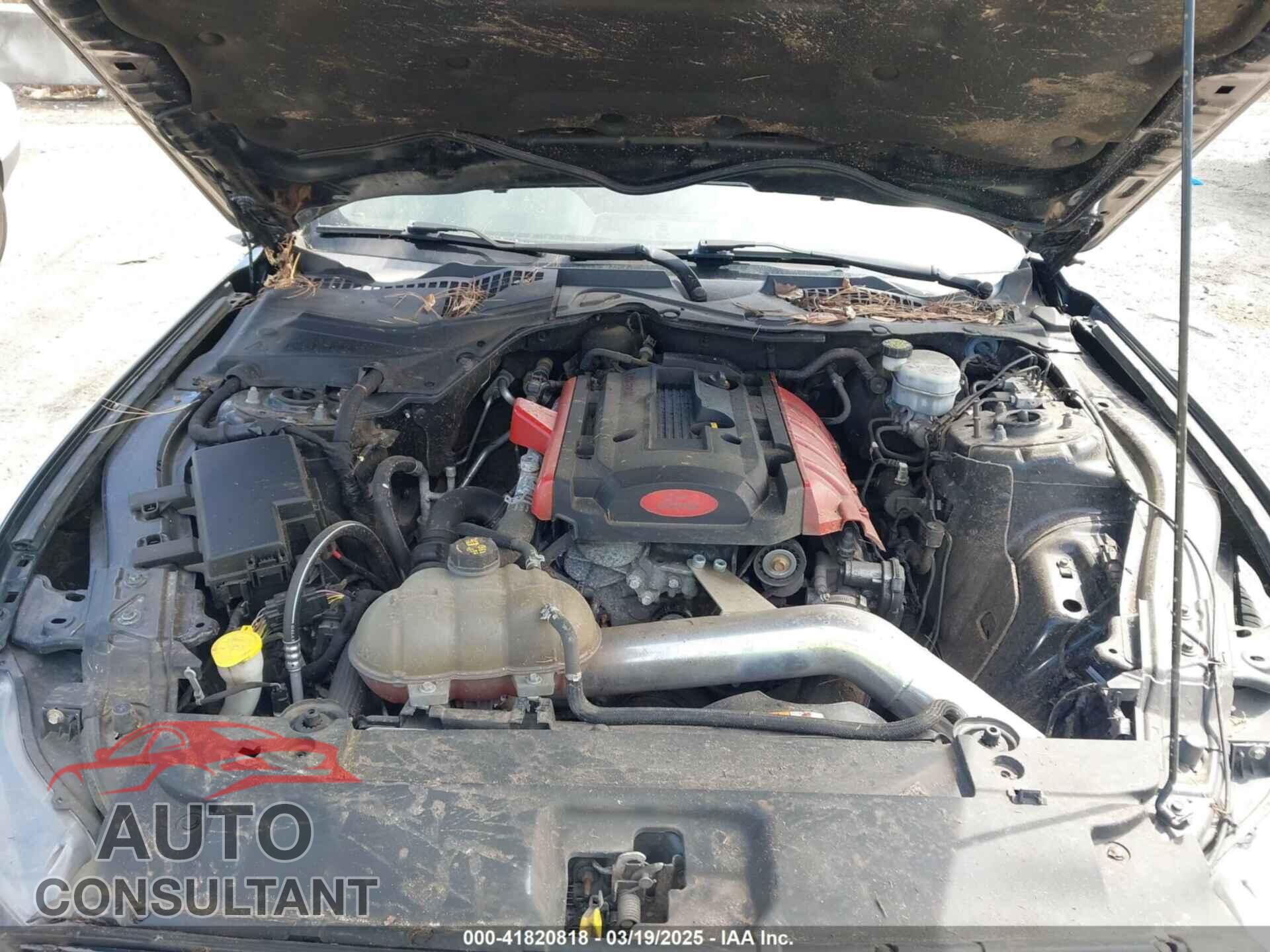 FORD MUSTANG 2017 - 1FA6P8TH9H5259449