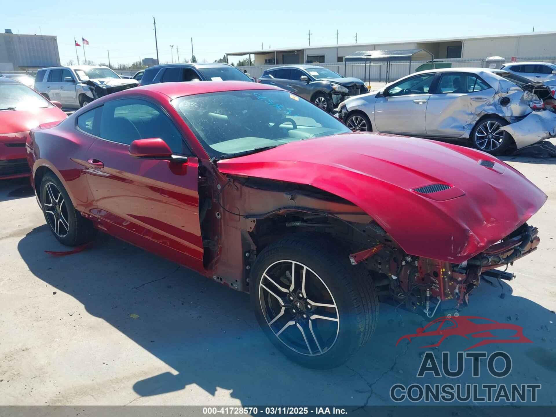 FORD MUSTANG 2019 - 1FA6P8TH4K5192640