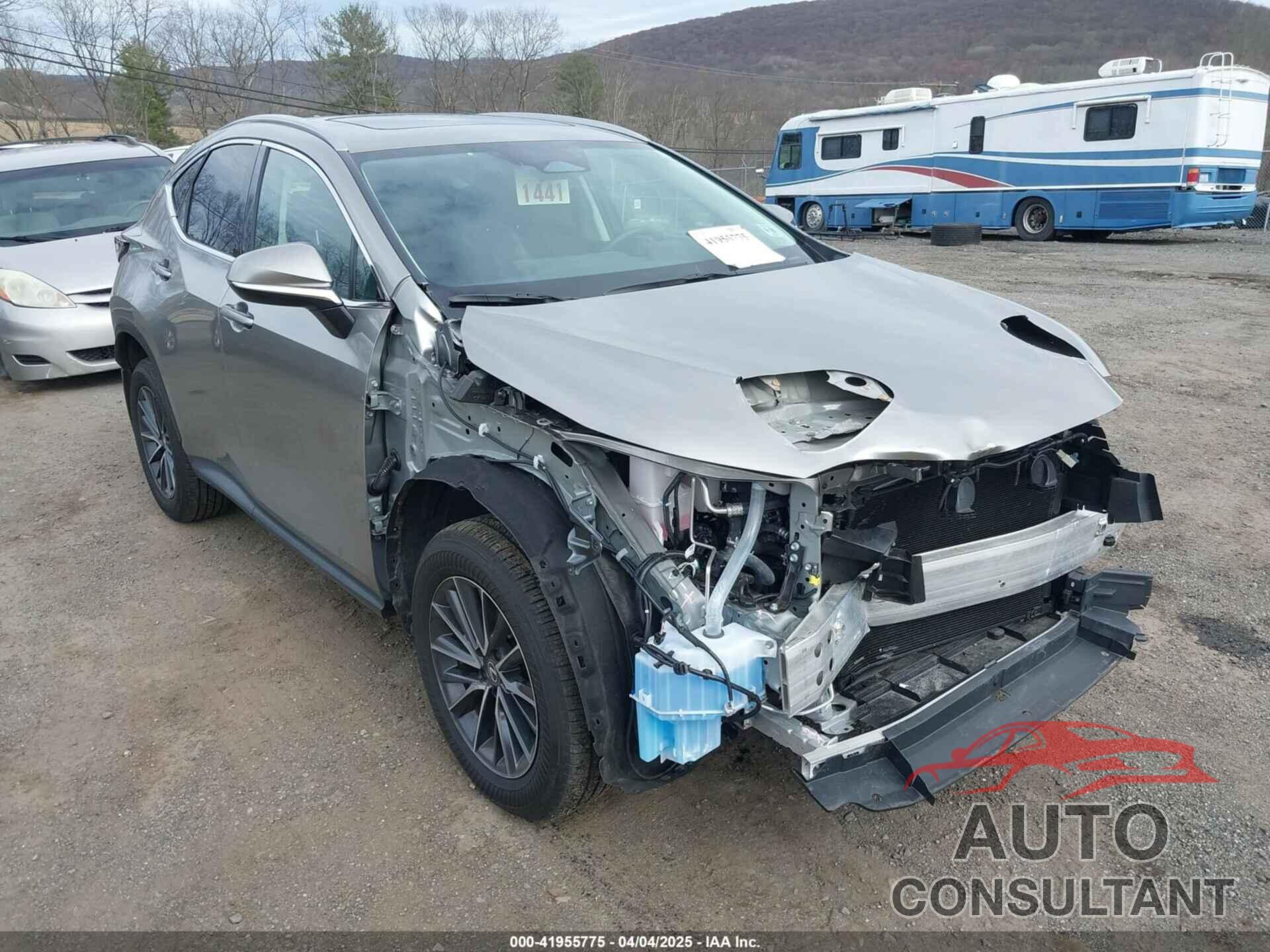 LEXUS NX 350 2024 - 2T2GGCEZ7RC059449
