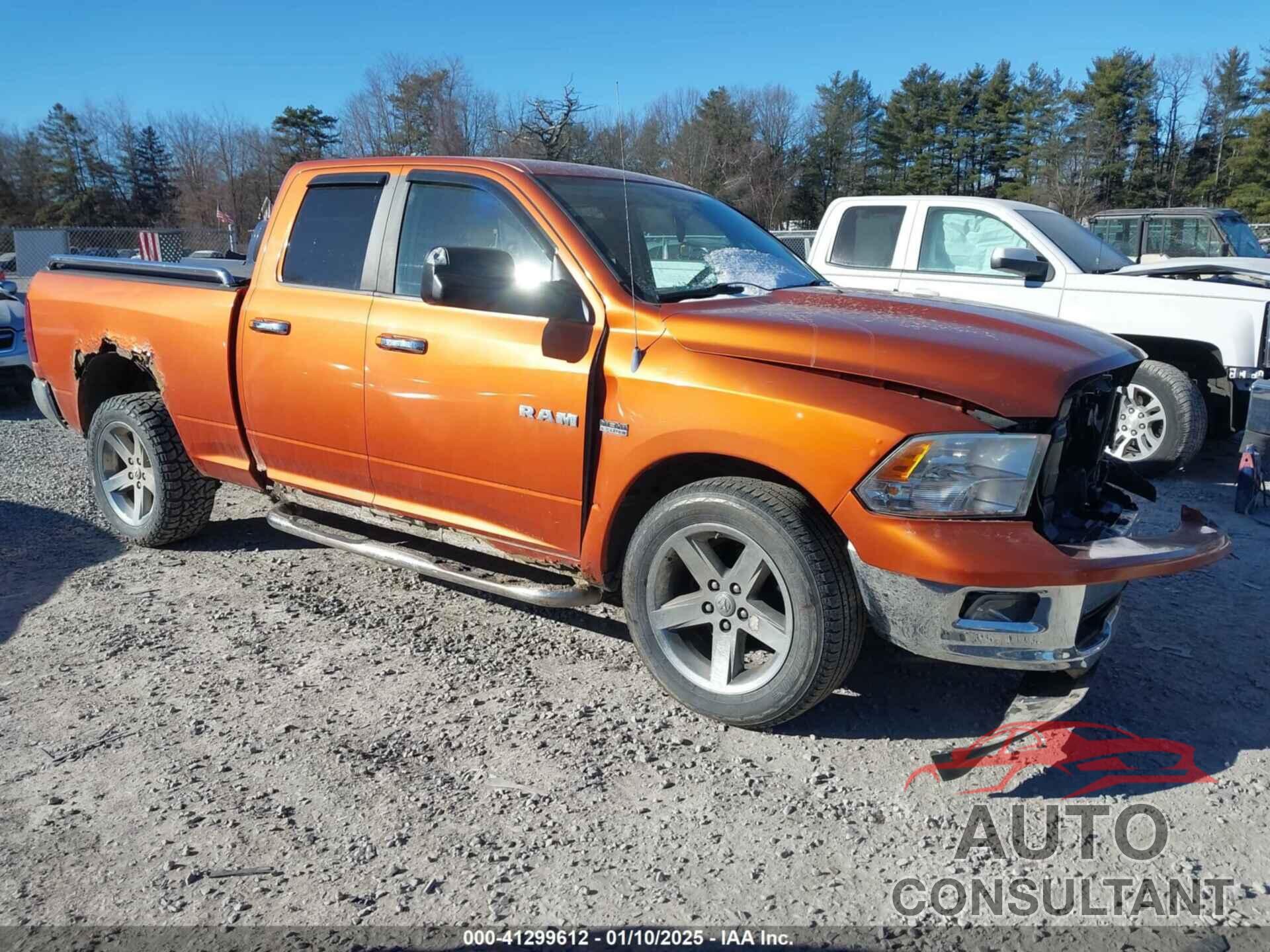 DODGE RAM 1500 2010 - 1D7RV1GT8AS175087