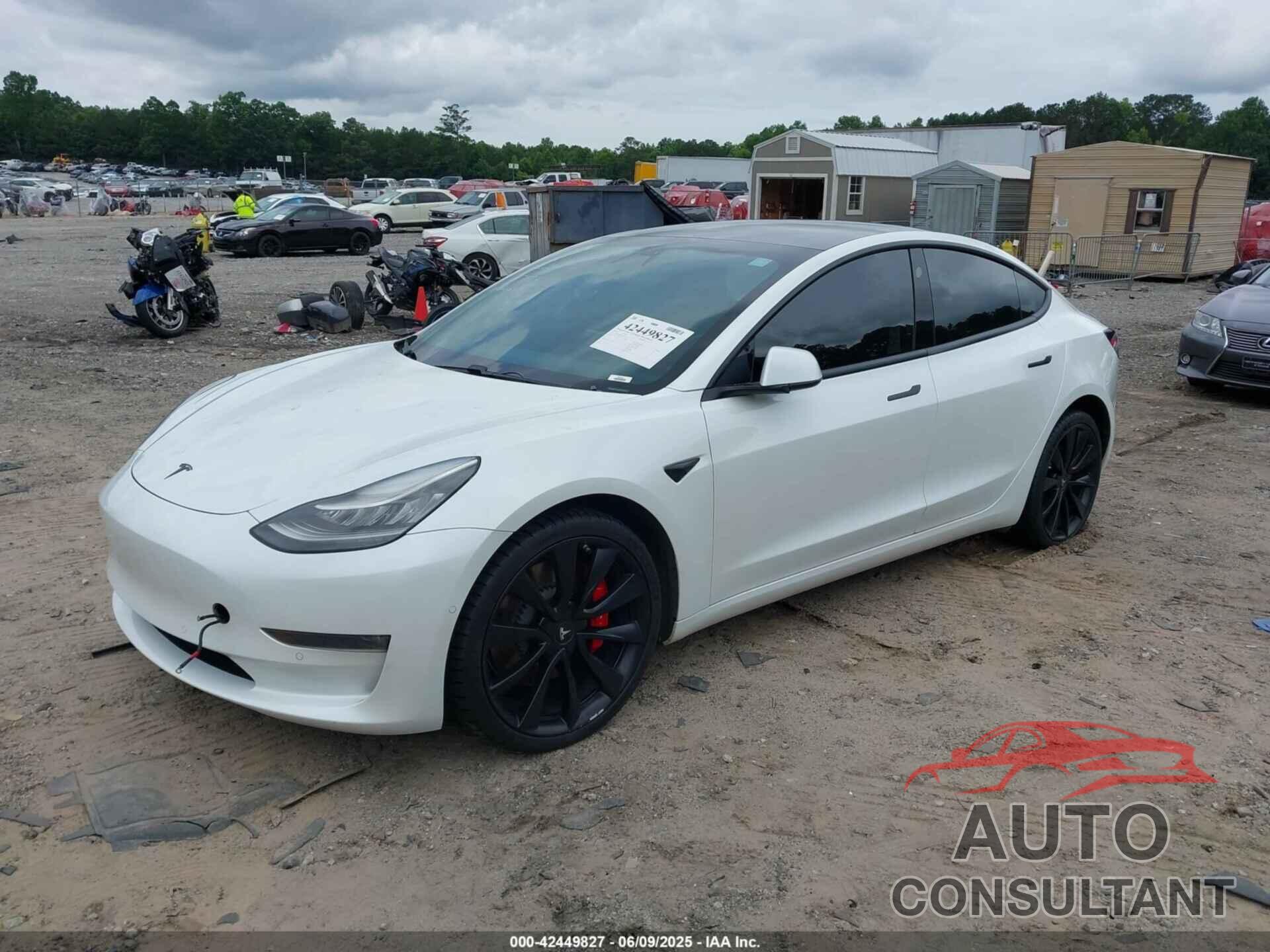 TESLA MODEL 3 2019 - 5YJ3E1EB6KF487174