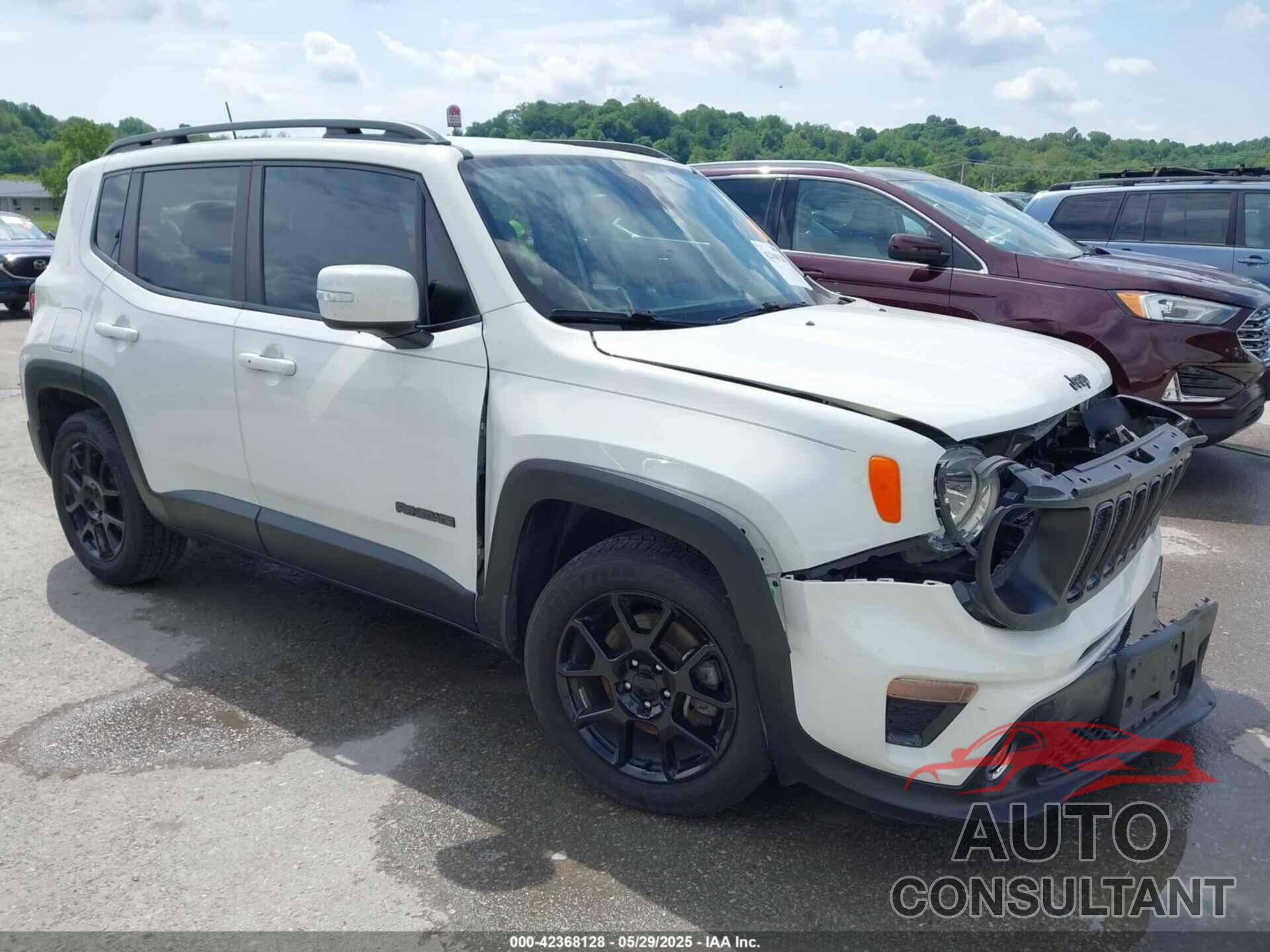 JEEP RENEGADE 2019 - ZACNJABB2KPK35081