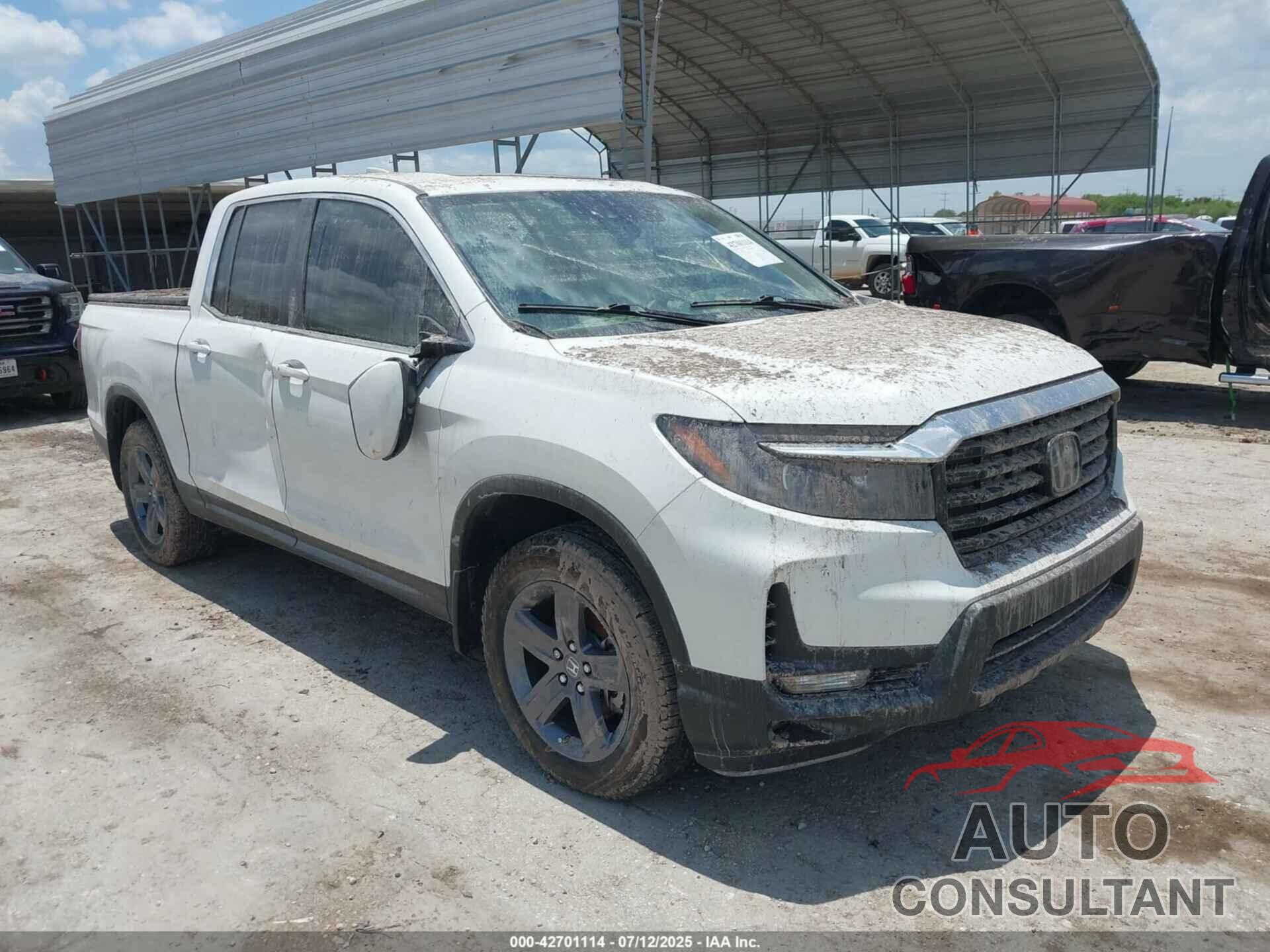 HONDA RIDGELINE 2021 - 5FPYK3F58MB006418