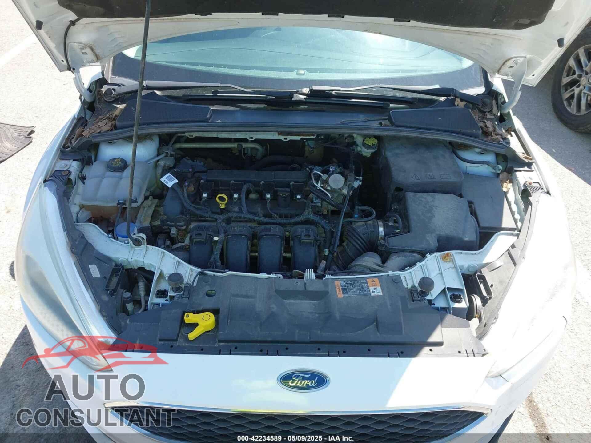 FORD FOCUS 2016 - 1FADP3E21GL391456