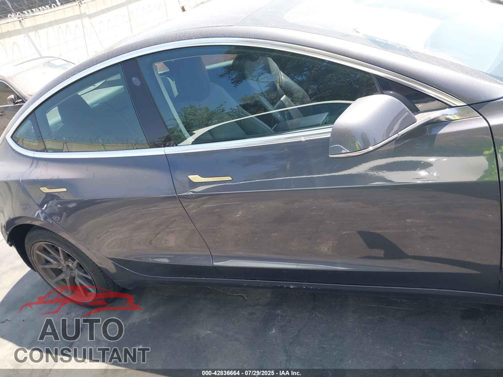 TESLA MODEL 3 2019 - 5YJ3E1EA5KF325480
