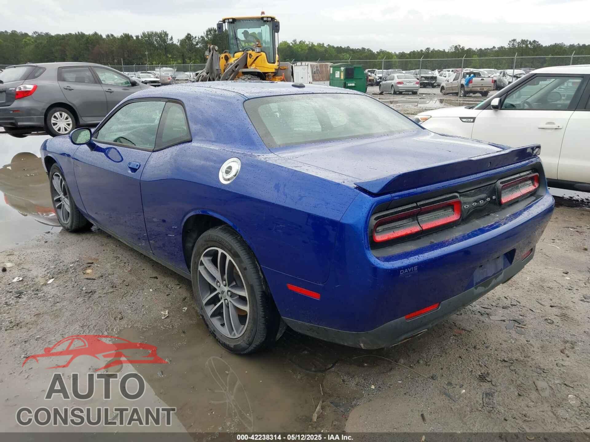 DODGE CHALLENGER 2019 - 2C3CDZGG6KH607239