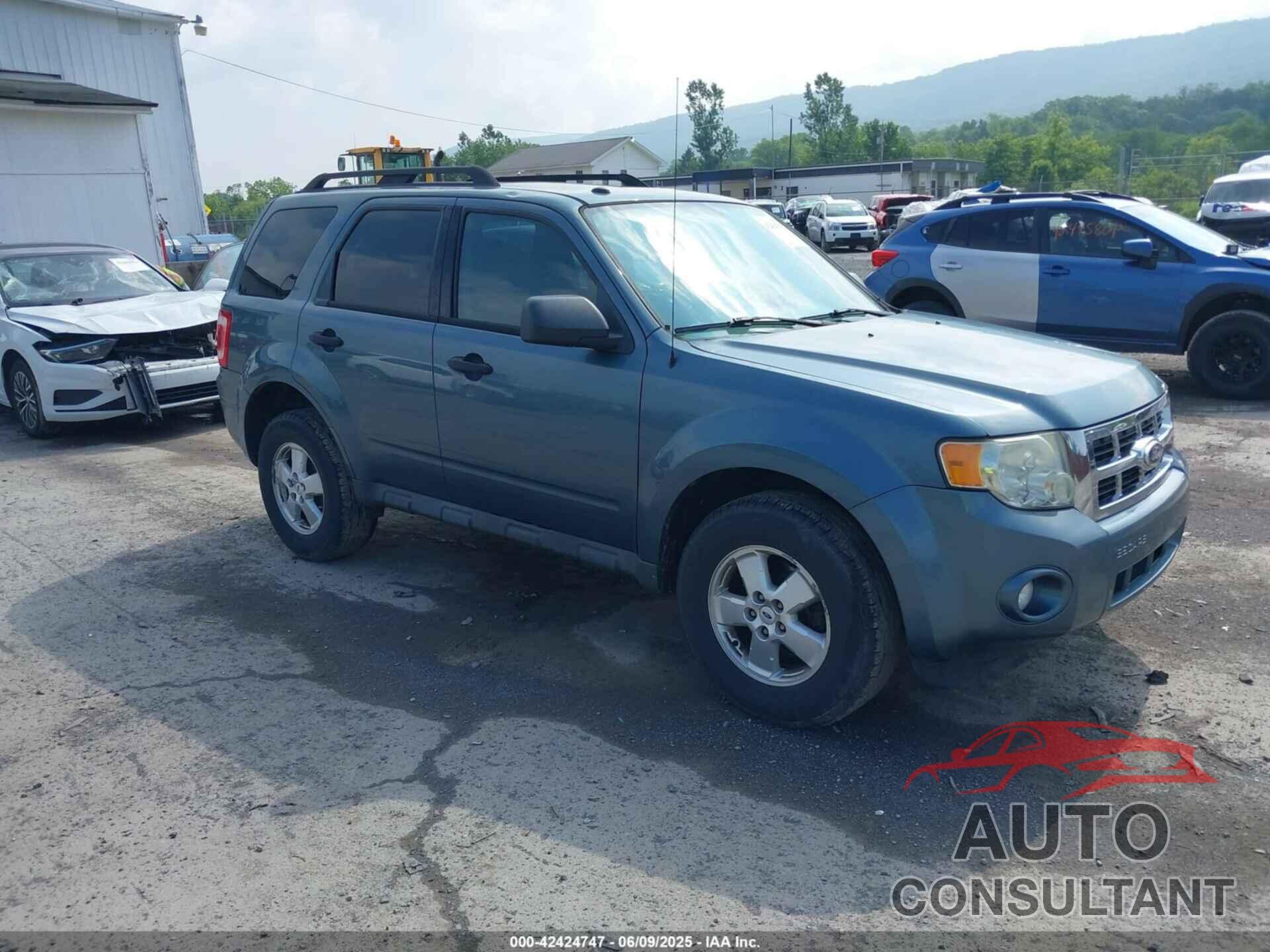 FORD ESCAPE 2010 - 1FMCU9DG9AKB53488