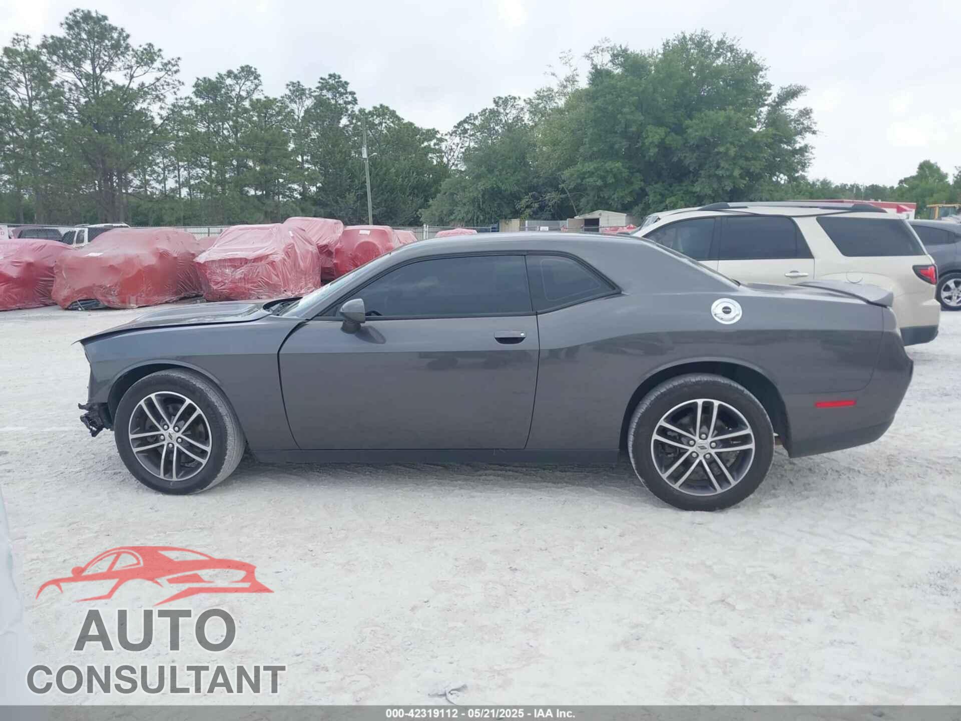 DODGE CHALLENGER 2019 - 2C3CDZKG3KH677871