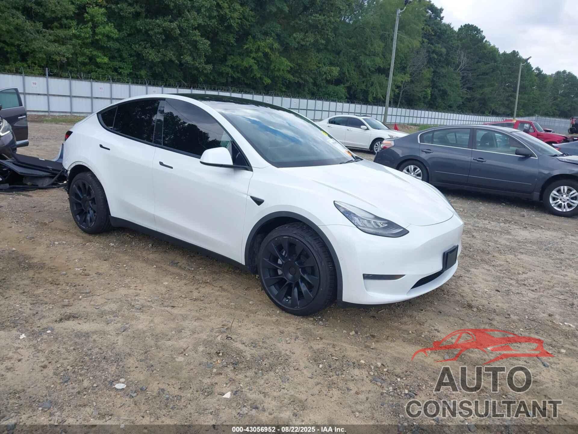 TESLA MODEL Y 2021 - 5YJYGDEE9MF080447
