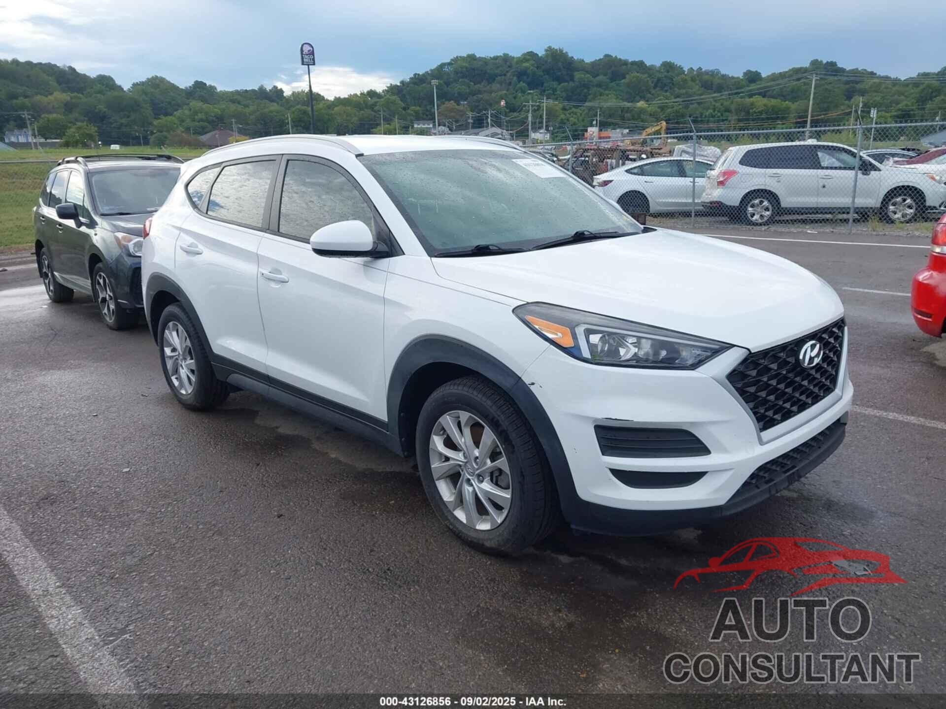 HYUNDAI TUCSON 2019 - KM8J33A40KU982652