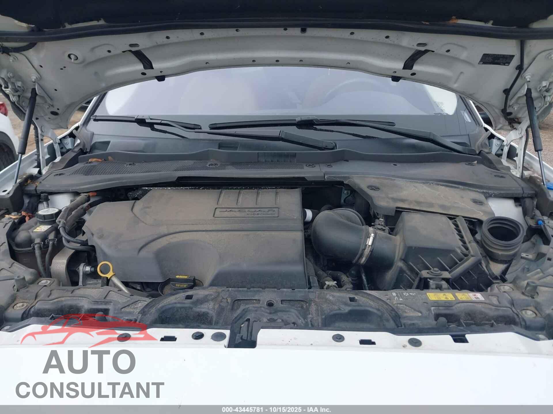JAGUAR E-PACE 2021 - SADFP2FX9M1020984