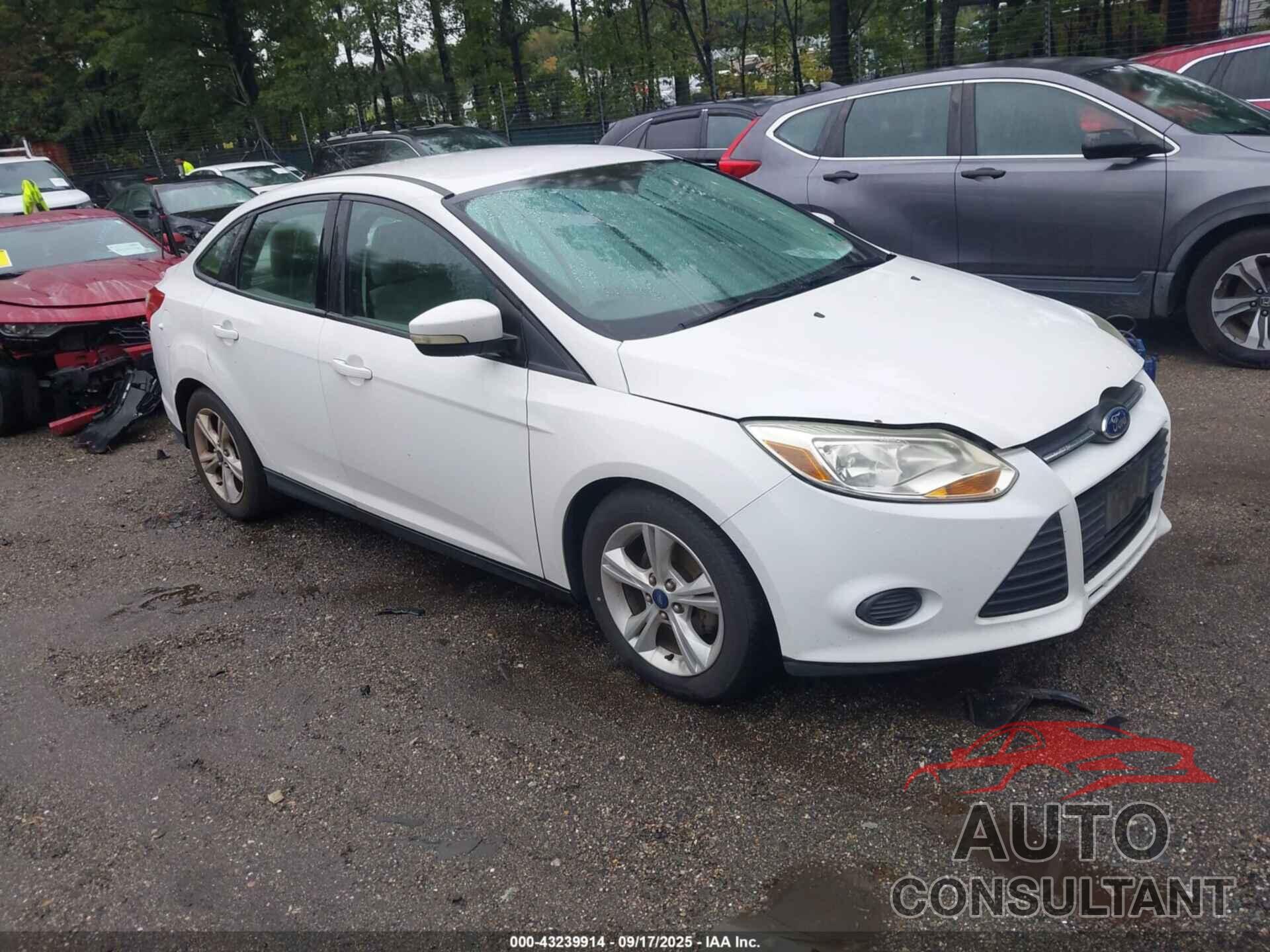 FORD FOCUS 2014 - 1FADP3F22EL126654