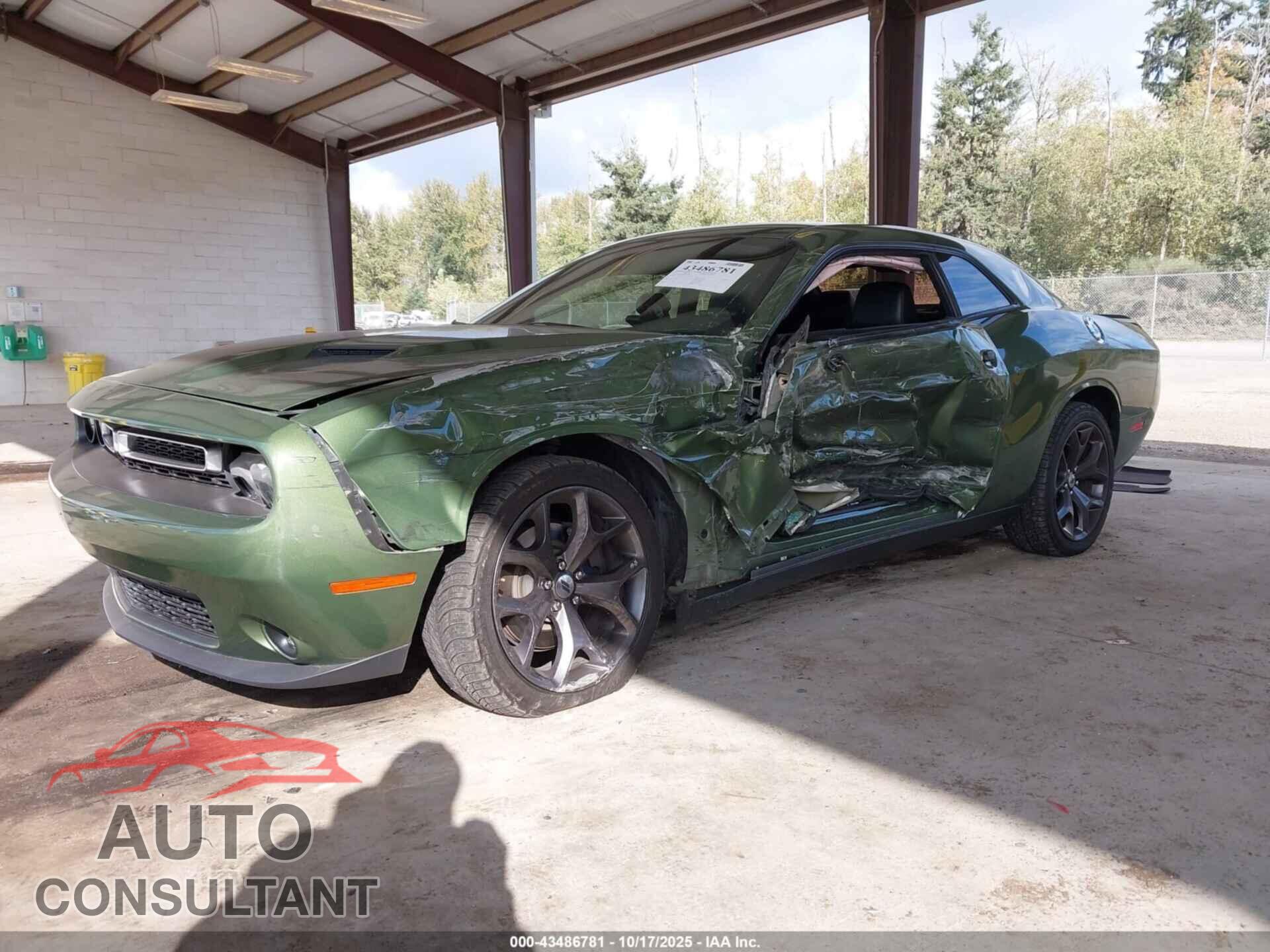 DODGE CHALLENGER 2019 - 2C3CDZAG2KH551289