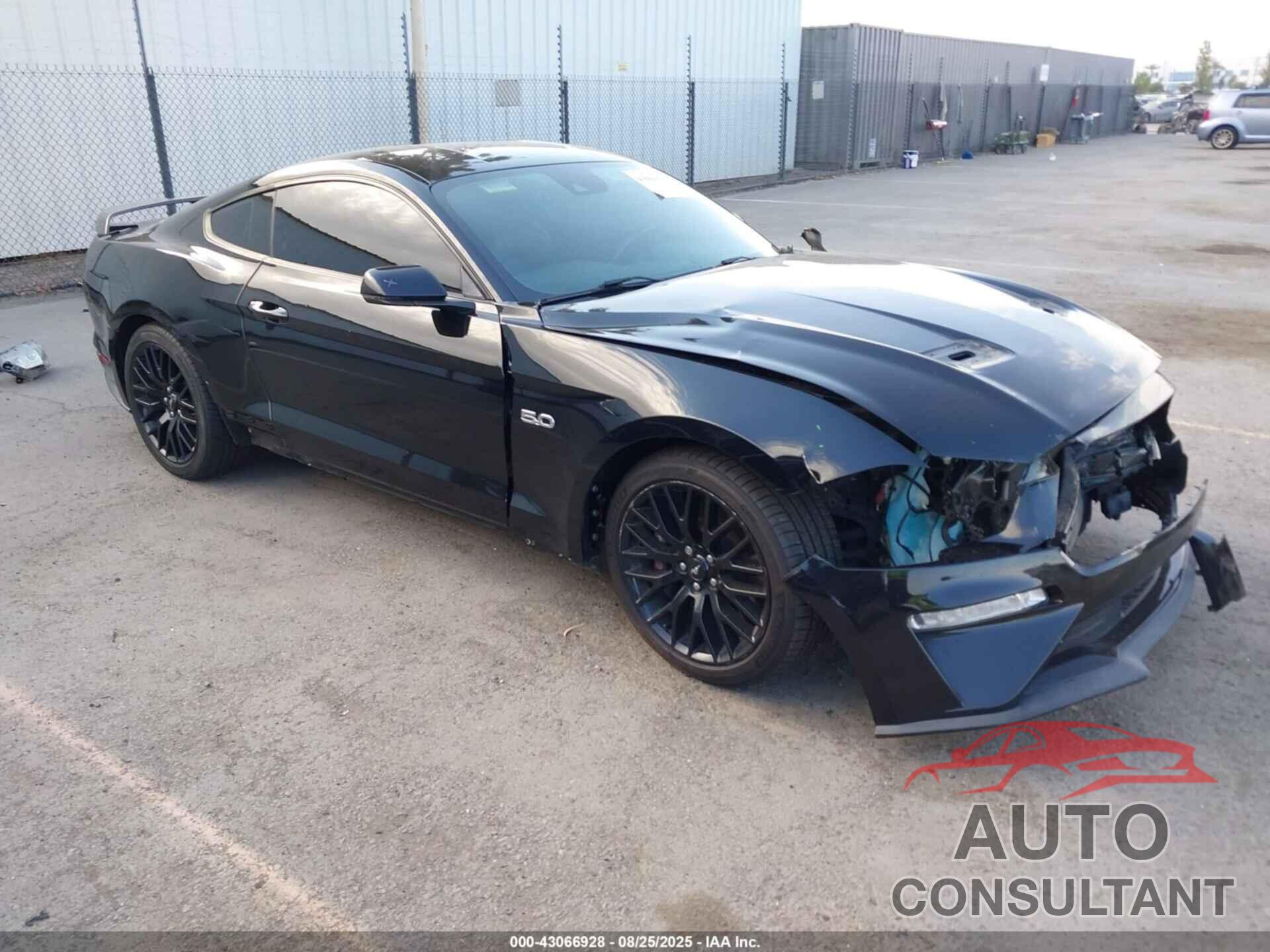 FORD MUSTANG 2019 - 1FA6P8CF7K5125657