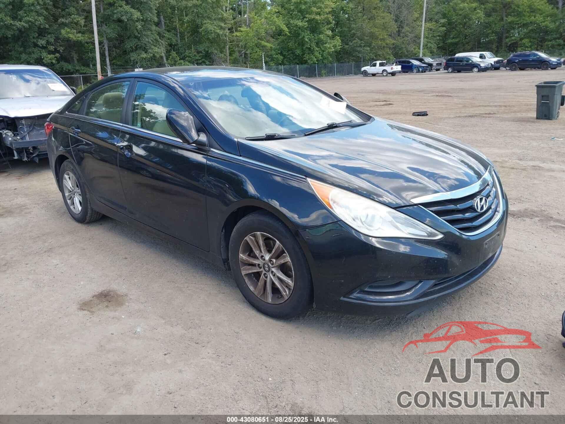 HYUNDAI SONATA 2011 - 5NPEB4AC0BH056462