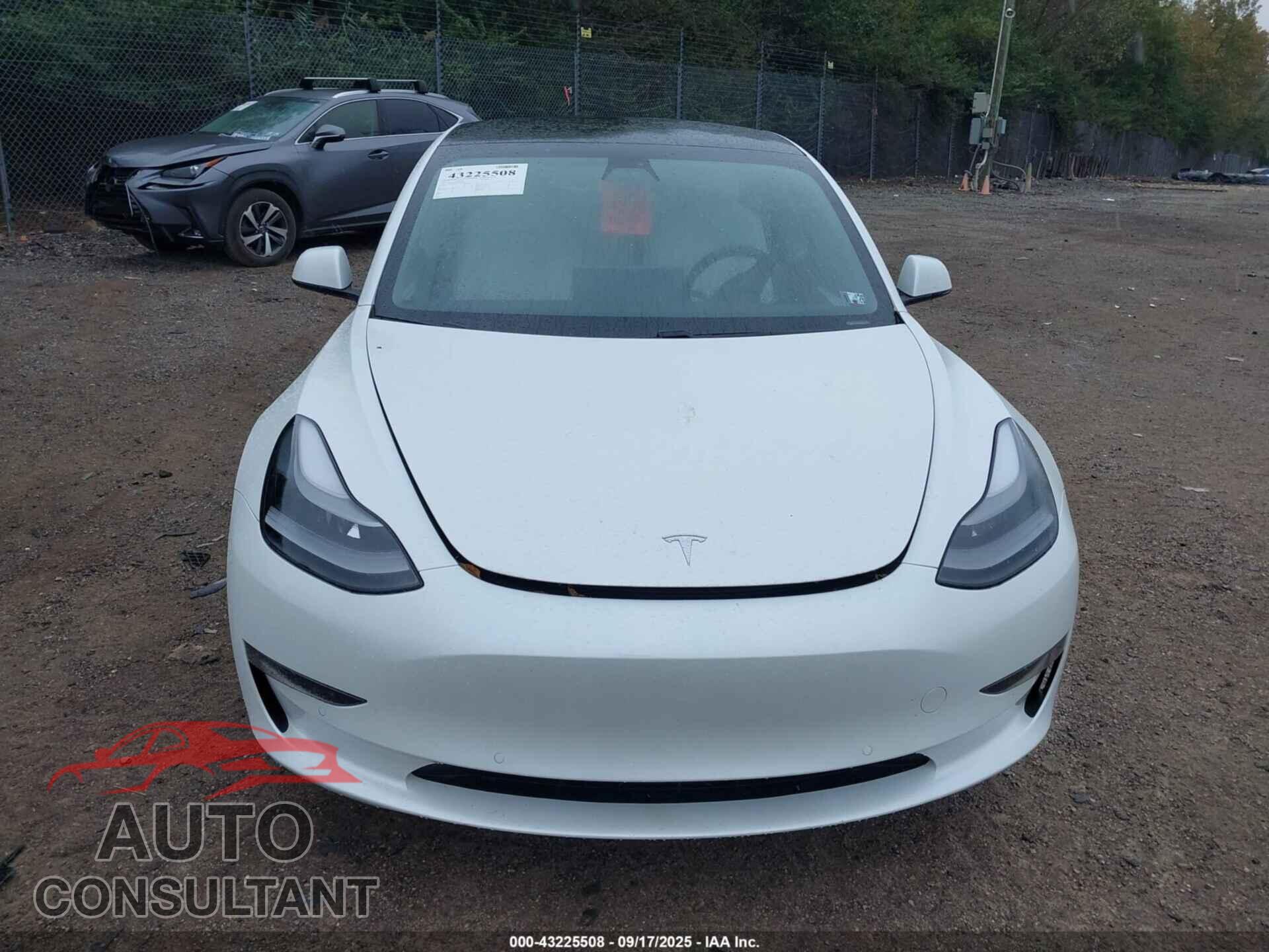 TESLA MODEL 3 2021 - 5YJ3E1EA2MF989576