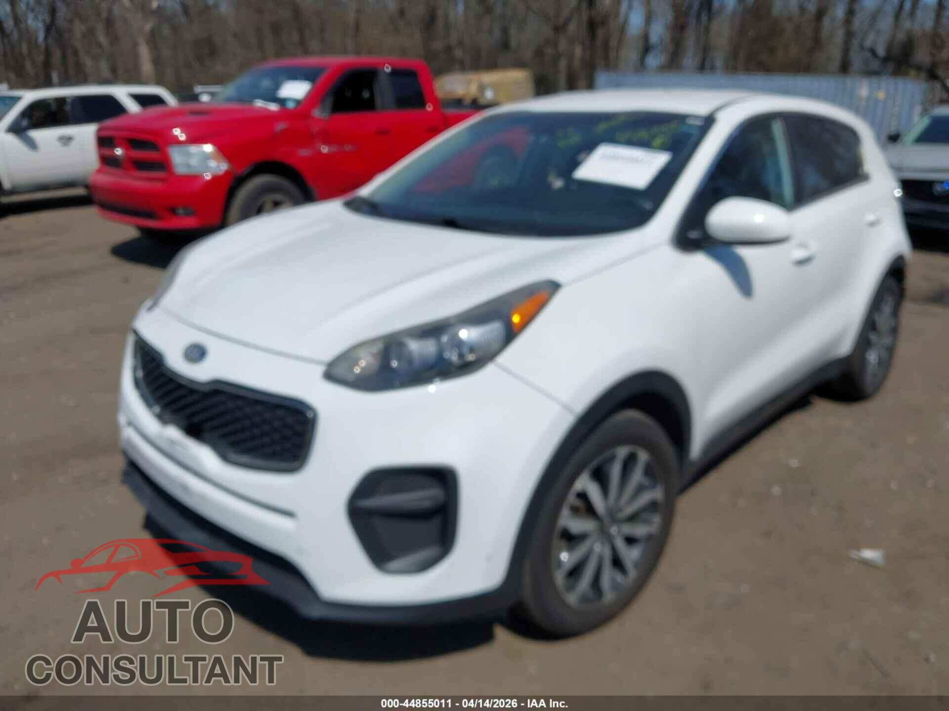 KIA SPORTAGE 2017 - KNDPM3AC7H7192002