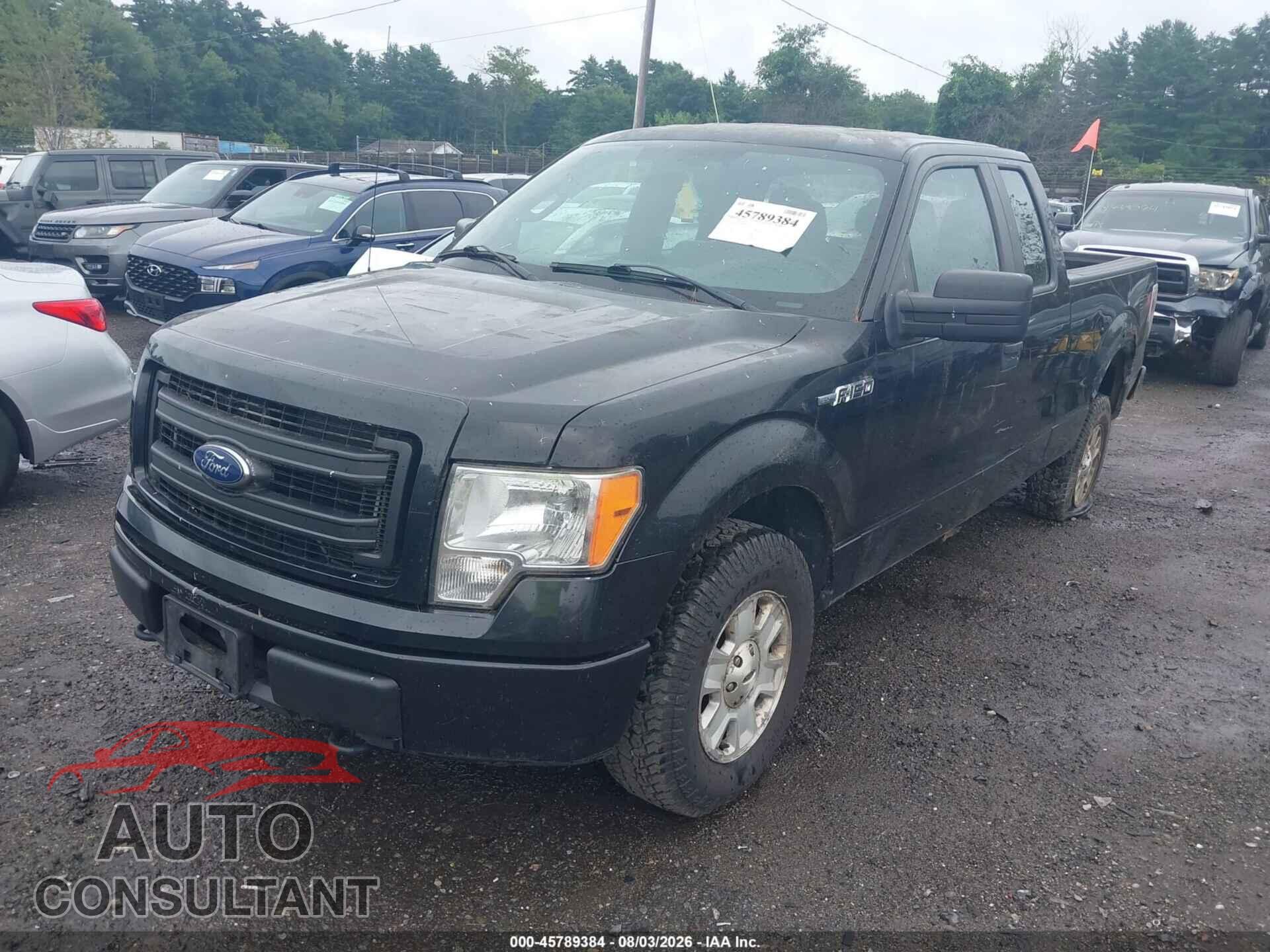 FORD F-150 2013 - 1FTFX1EF0DKD57049