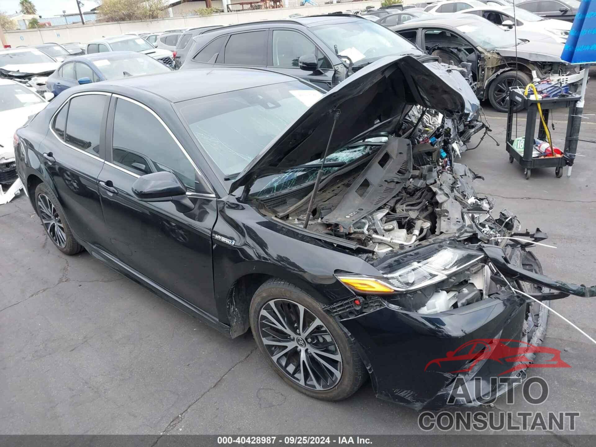 TOYOTA CAMRY 2020 - 4T1G31AK1LU542387