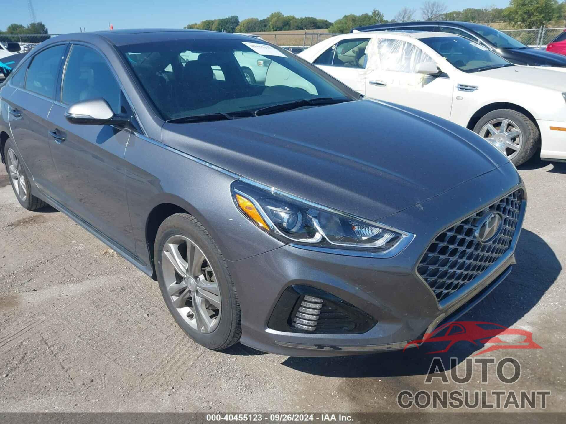 HYUNDAI SONATA 2019 - 5NPE34AF9KH816637