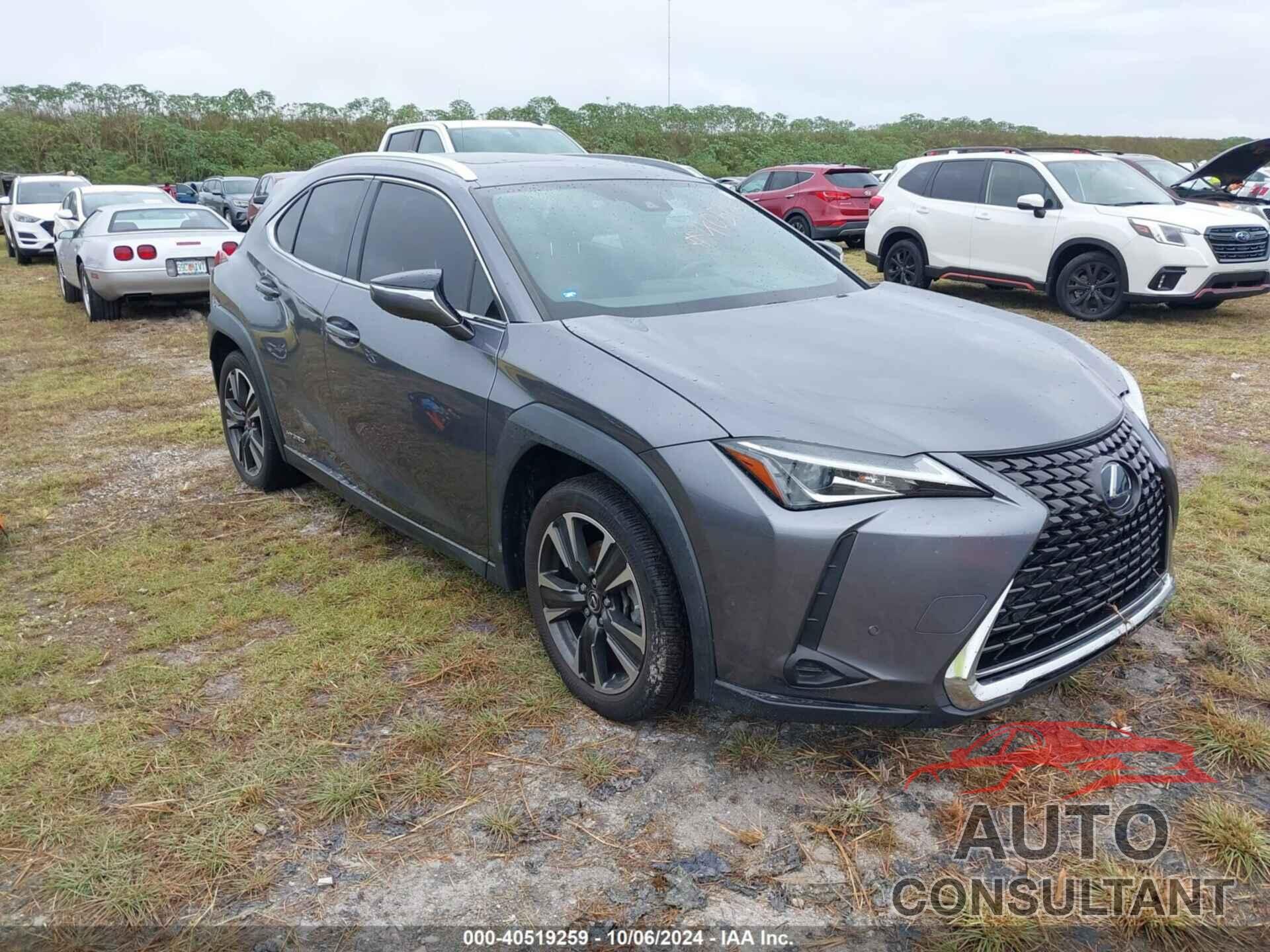 LEXUS UX 2019 - JTHU9JBH9K2010922