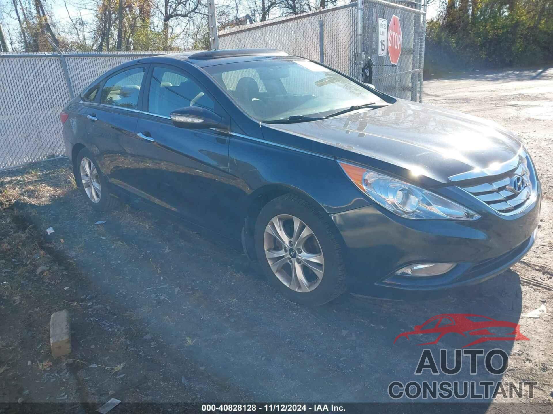 HYUNDAI SONATA 2013 - 5NPEC4AC6DH624262