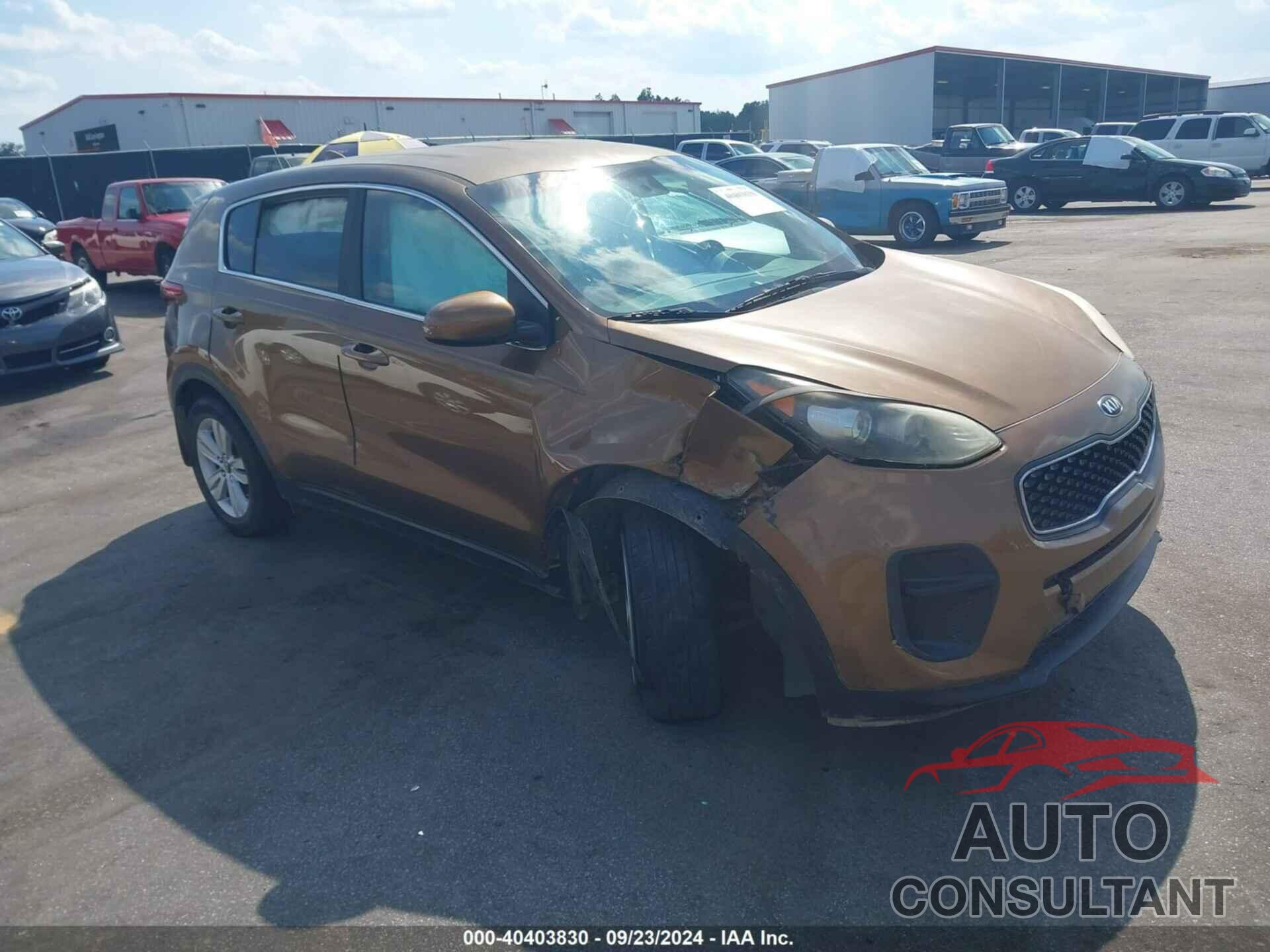 KIA SPORTAGE 2017 - KNDPM3AC1H7103055