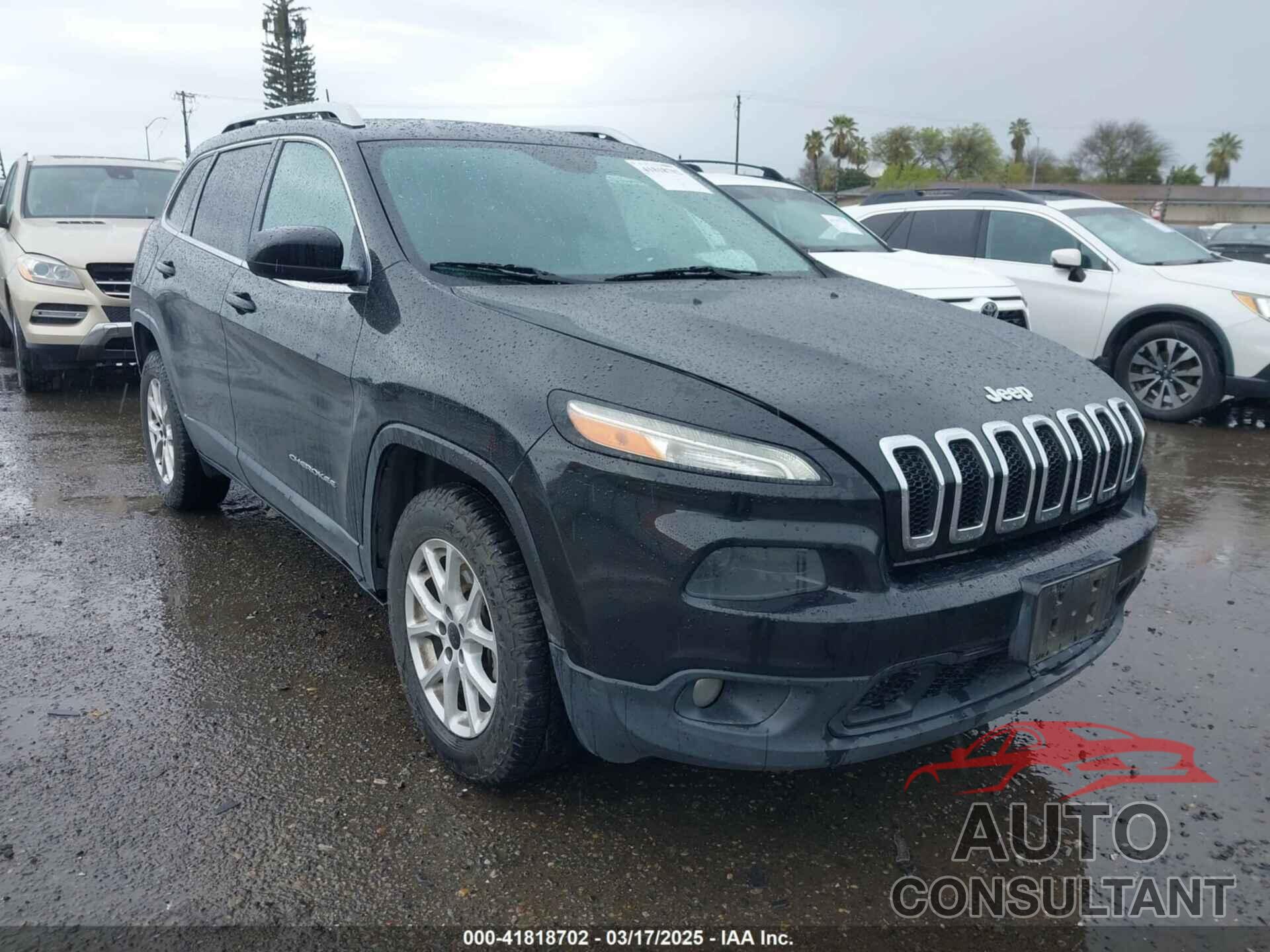 JEEP CHEROKEE 2016 - 1C4PJMCB3GW100522