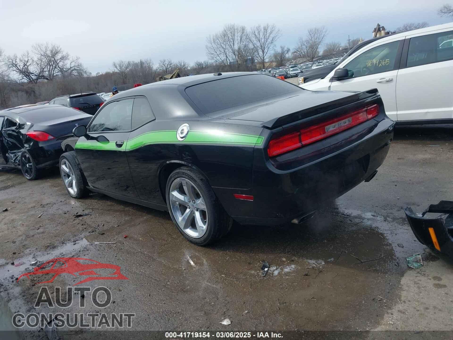 DODGE CHALLENGER 2013 - 2C3CDYBT2DH616103