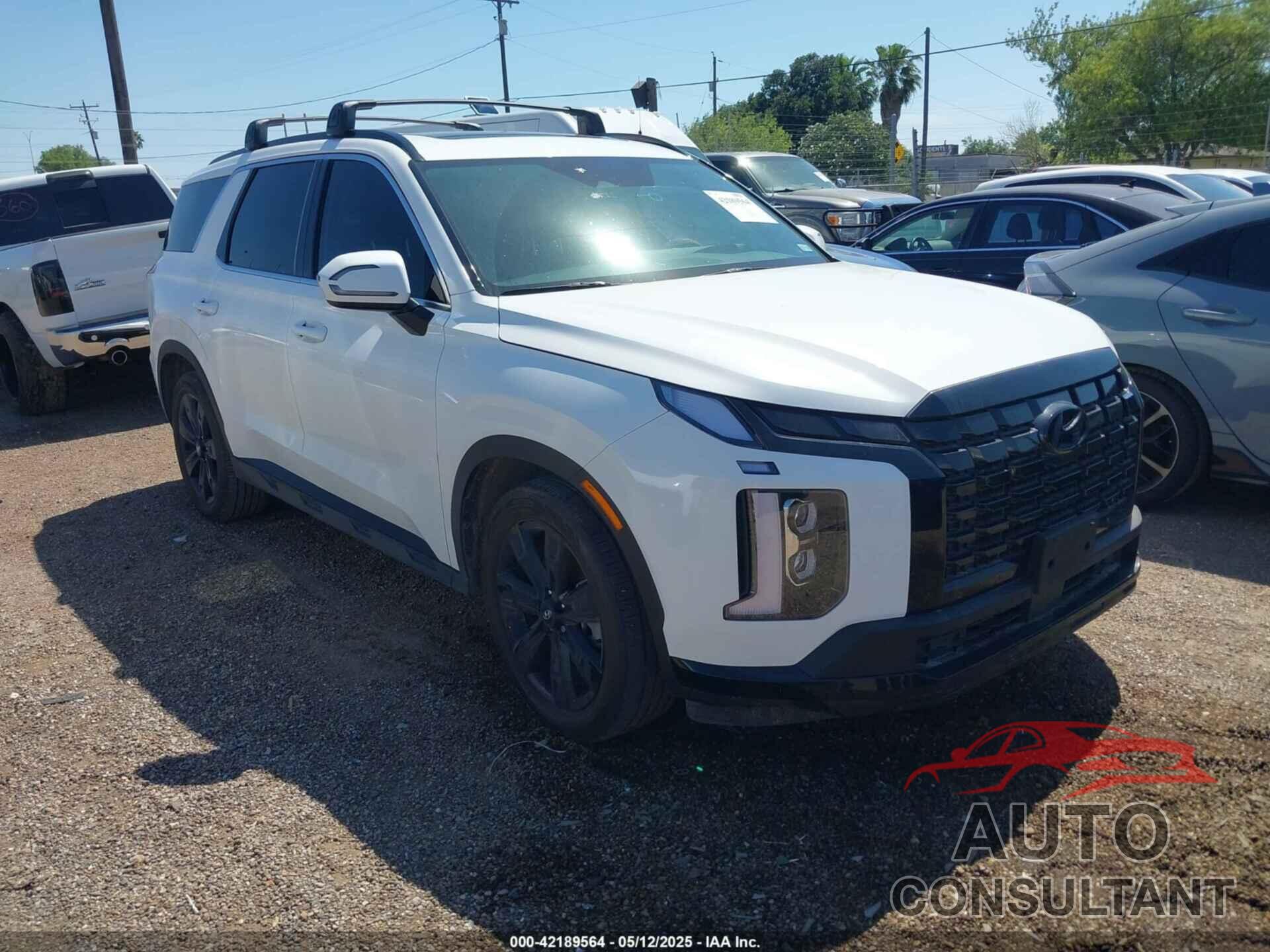 HYUNDAI PALISADE 2024 - KM8R34GE2RU725138