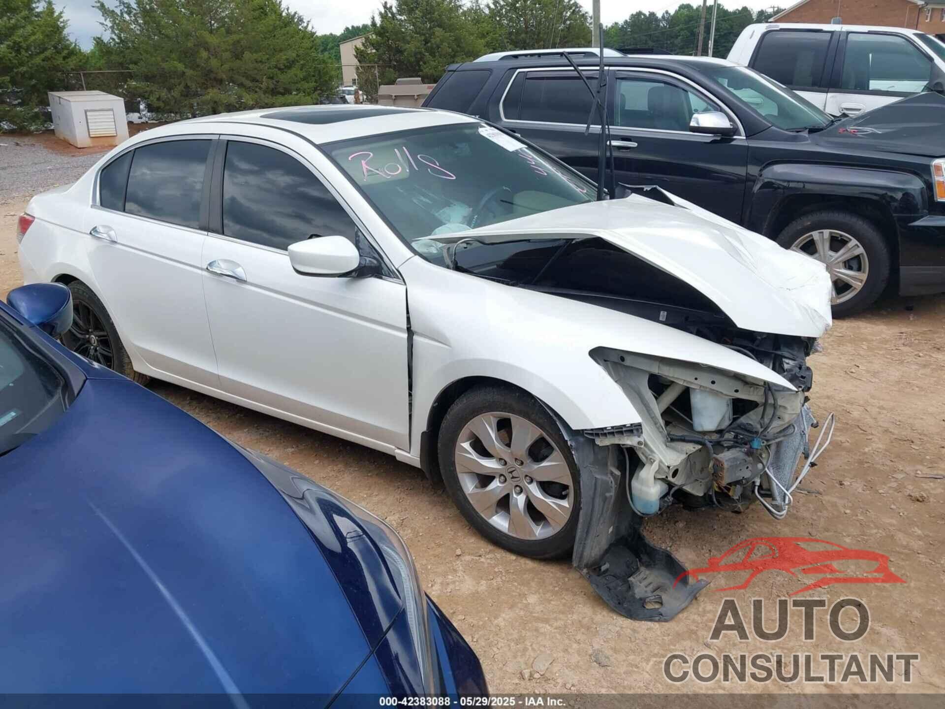 HONDA ACCORD 2009 - 1HGCP368X9A004427
