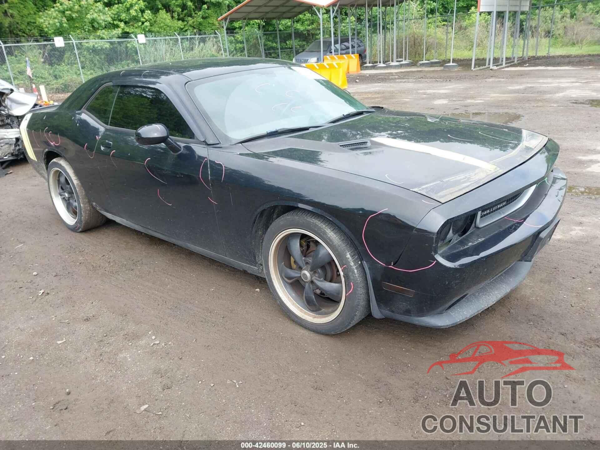 DODGE CHALLENGER 2013 - 2C3CDYAG8DH617678