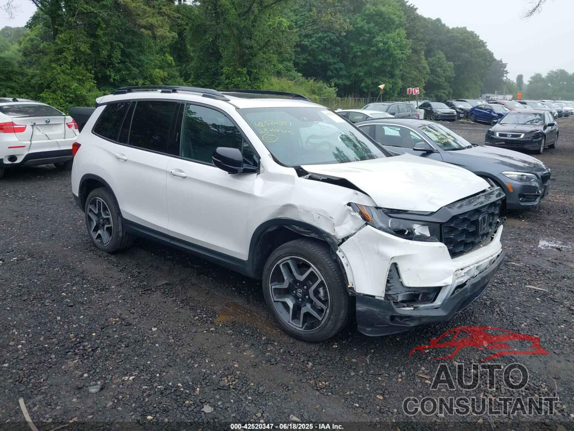 HONDA PASSPORT 2023 - 5FNYF8H02PB017639