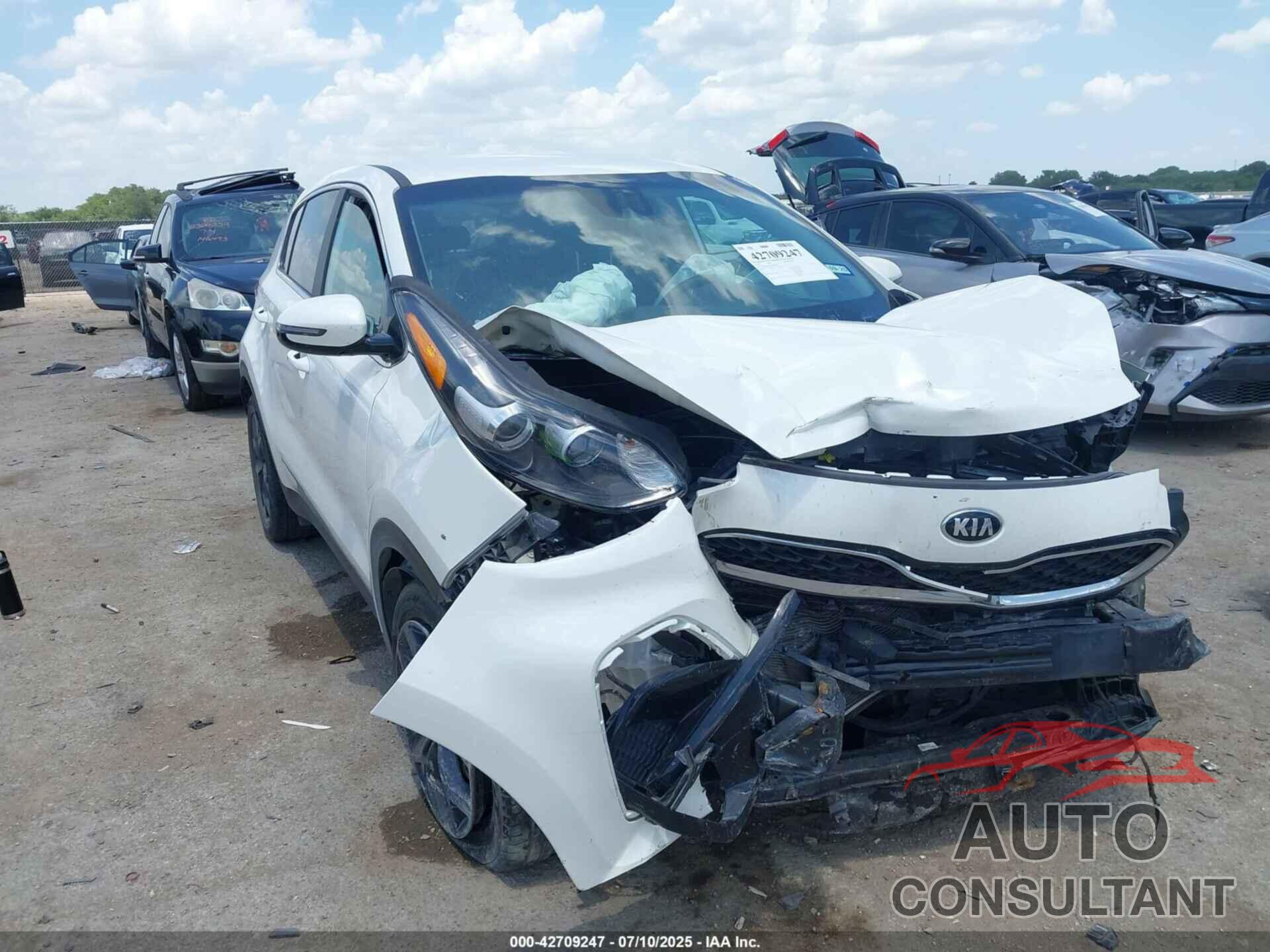 KIA SPORTAGE 2022 - KNDPM3AC3N7000053