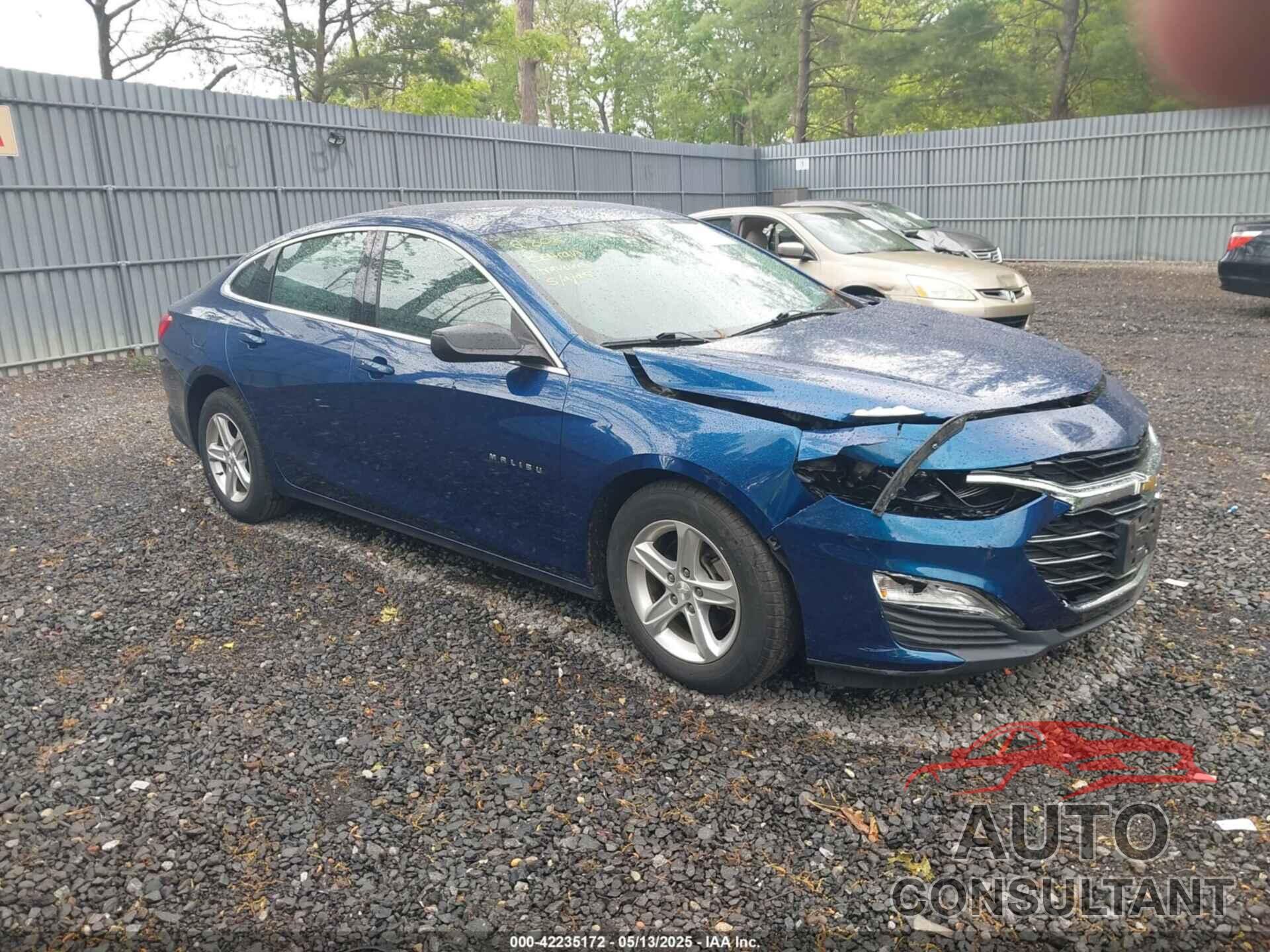 CHEVROLET MALIBU 2019 - 1G1ZB5ST6KF174489