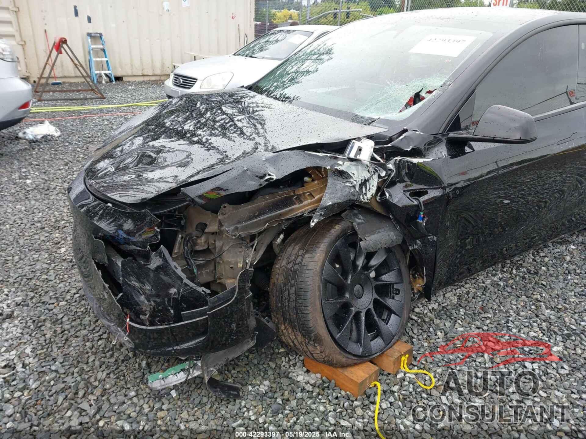TESLA MODEL Y 2024 - 7SAYGDEE1RF033066