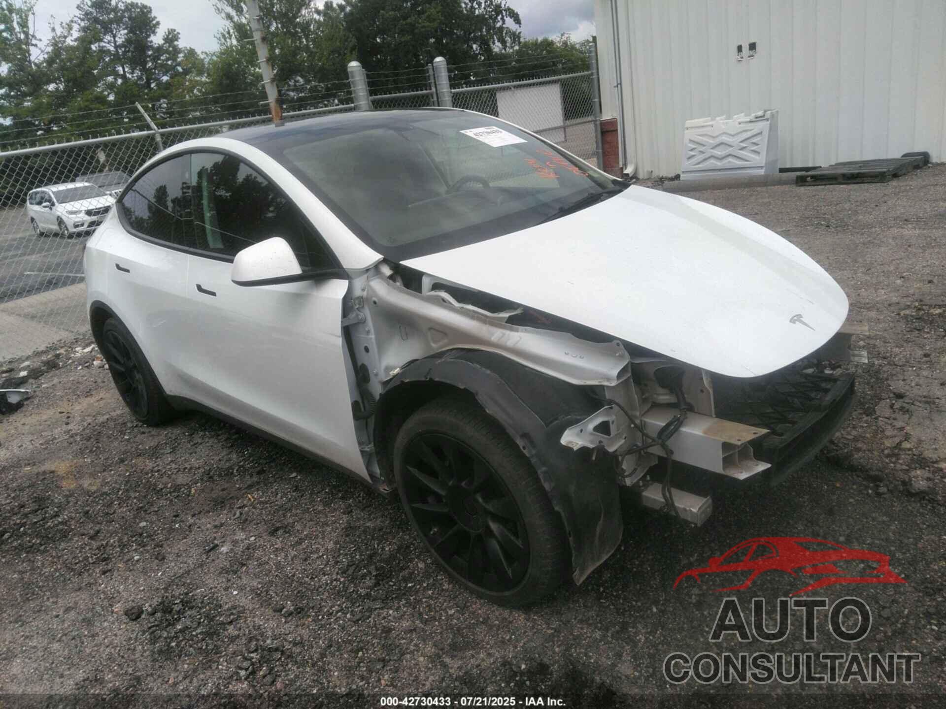 TESLA MODEL Y 2021 - 5YJYGDEE4MF175885